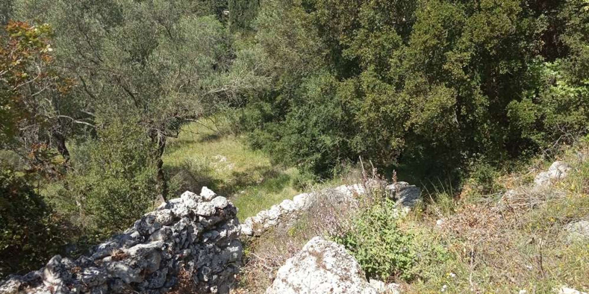 Maa sisään Zakynthos, Zakinthos 10087997