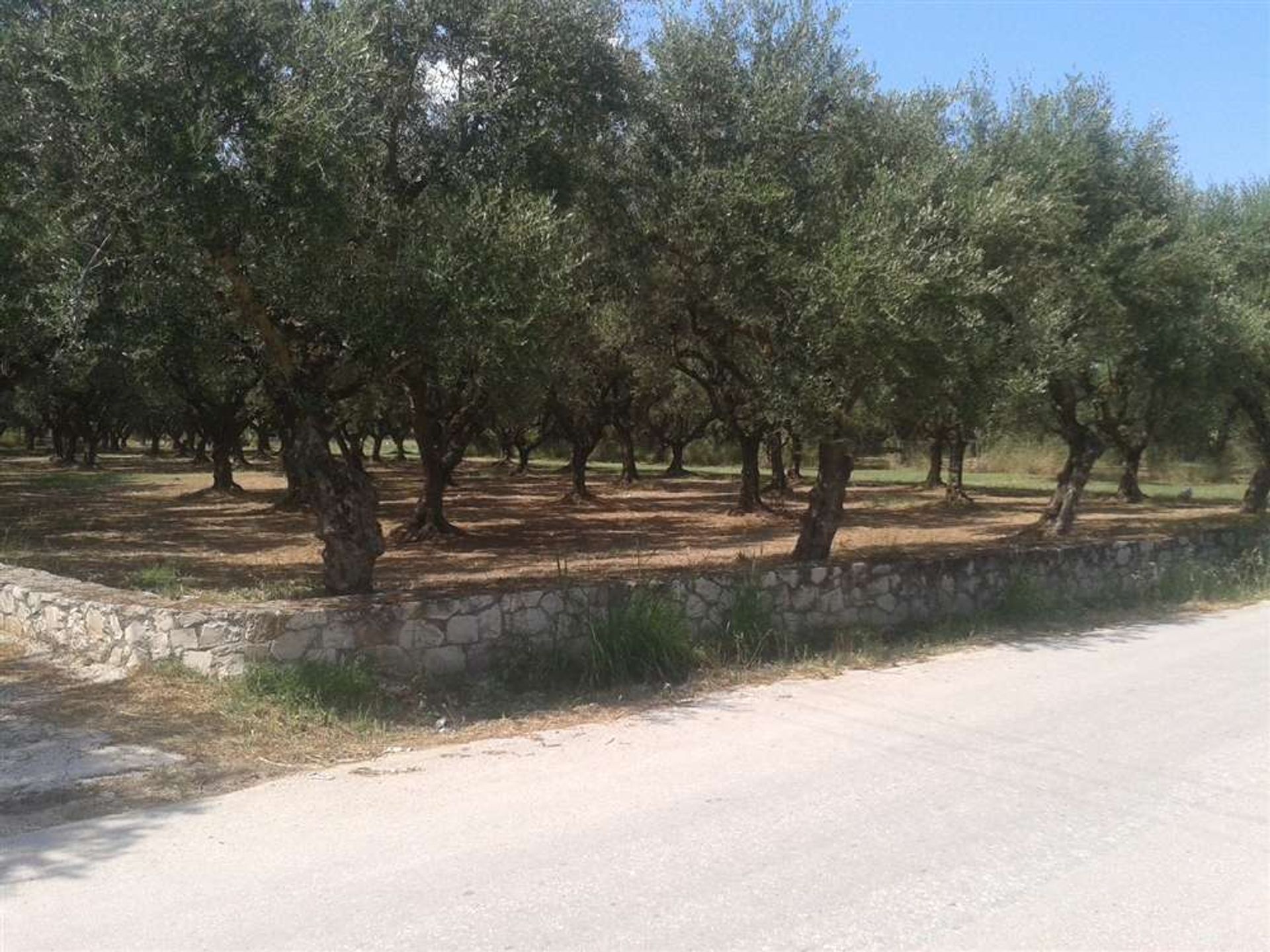 Land in Zakynthos, Zakinthos 10088000