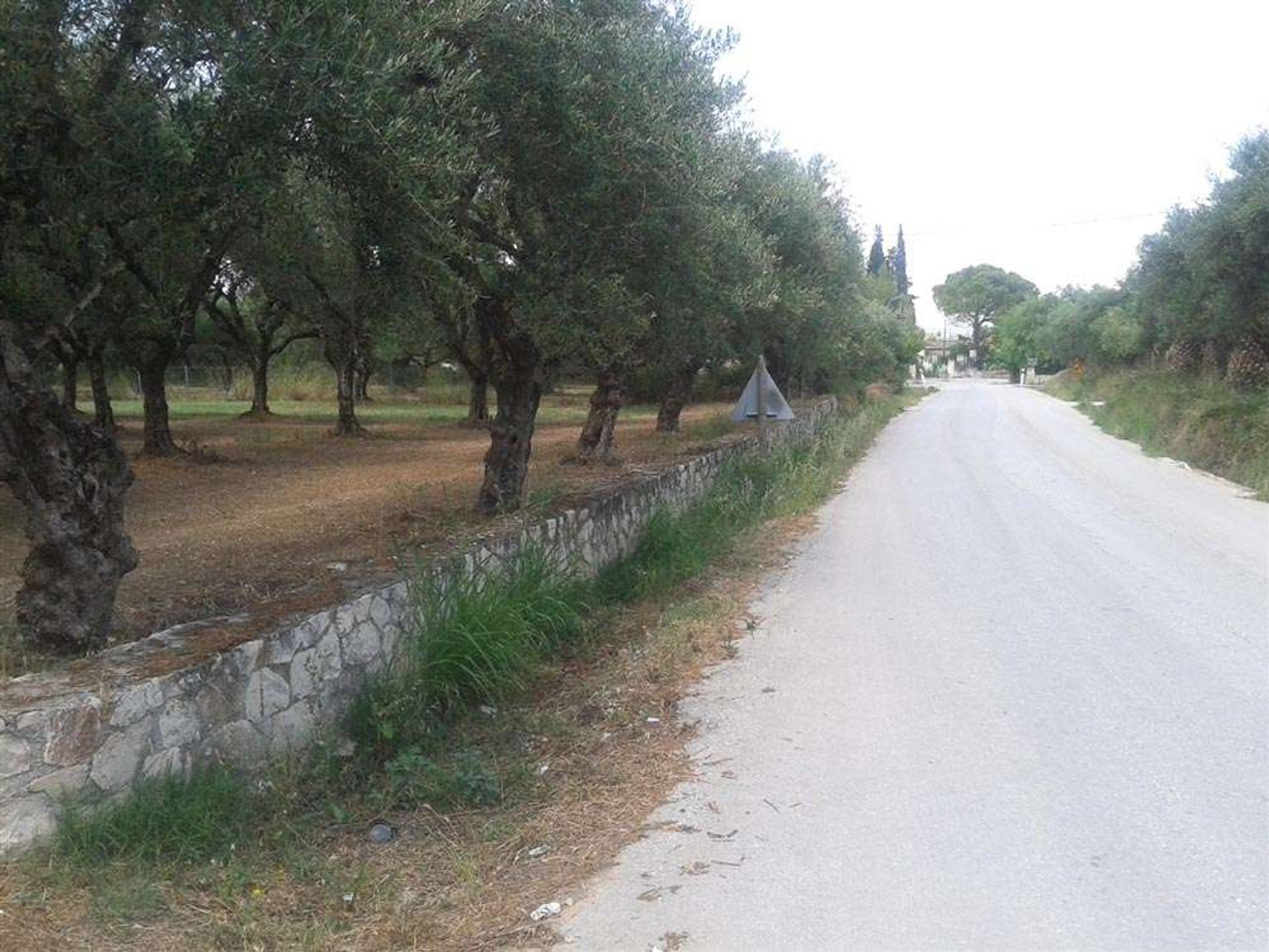 土地 在 Zakynthos, Zakinthos 10088000