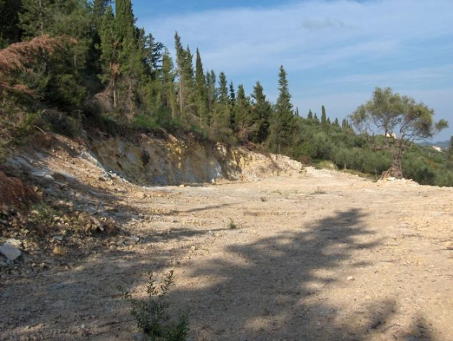 ארץ ב בוצ'אלי, יוניה ניסיה 10088001