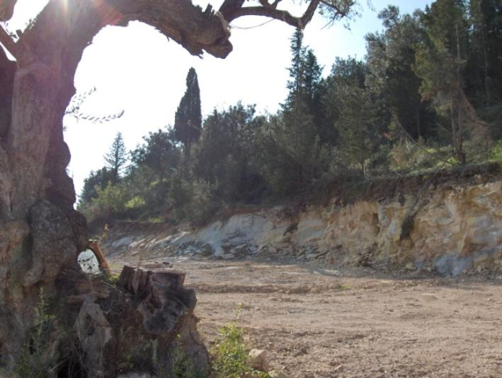 ארץ ב Zakynthos, Zakinthos 10088001