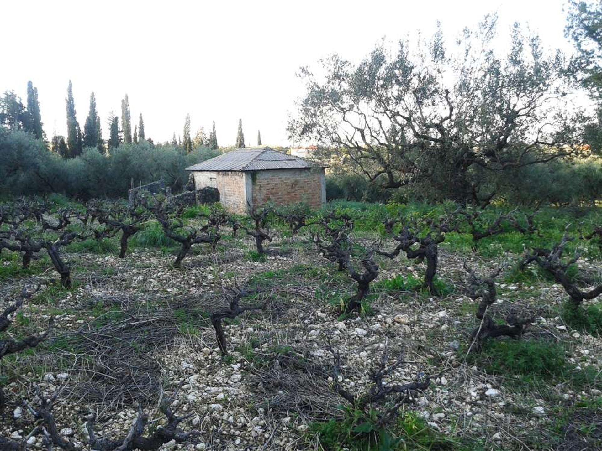 Γη σε Zakynthos, Zakinthos 10088009