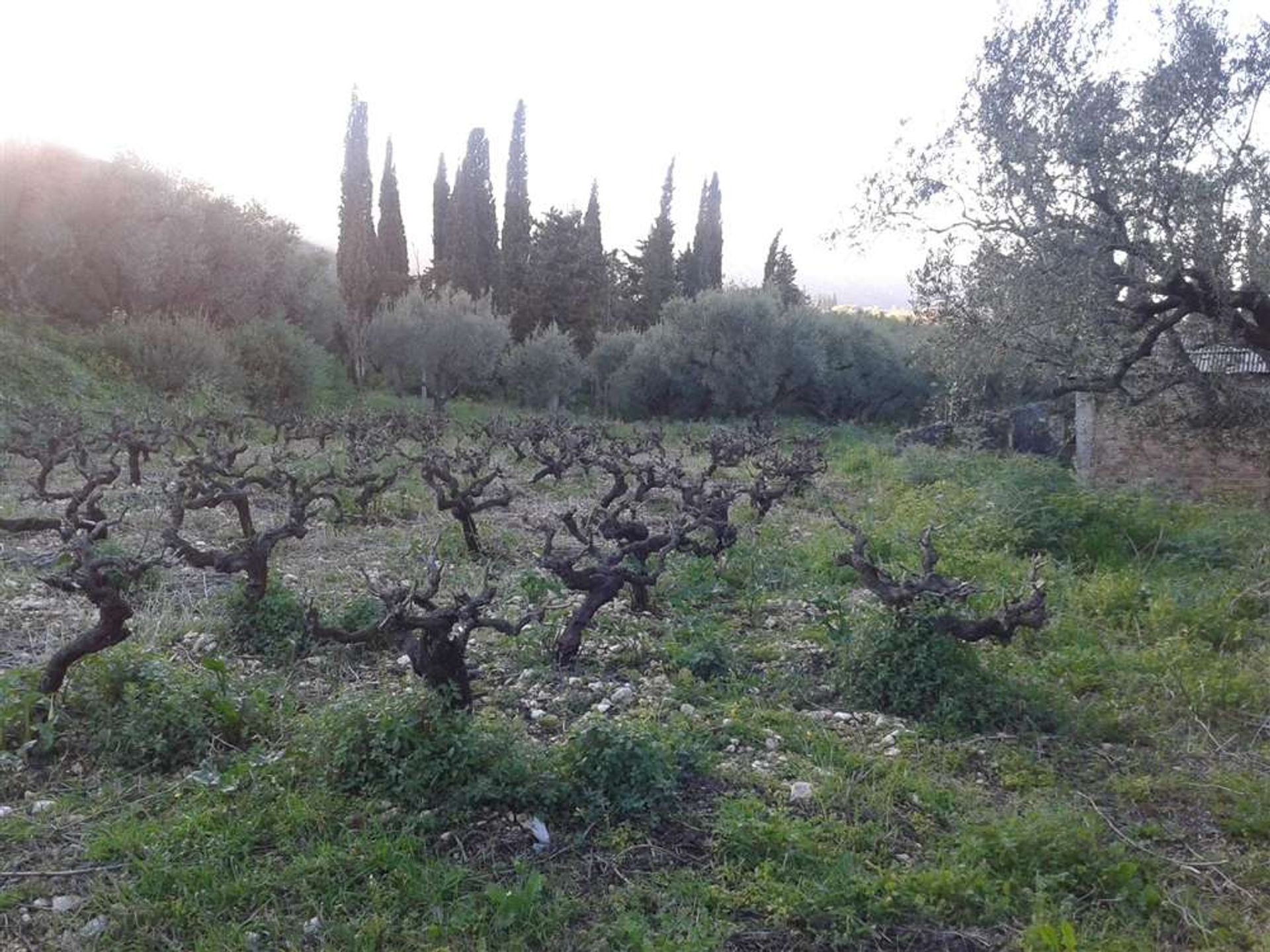 Γη σε Zakynthos, Zakinthos 10088009