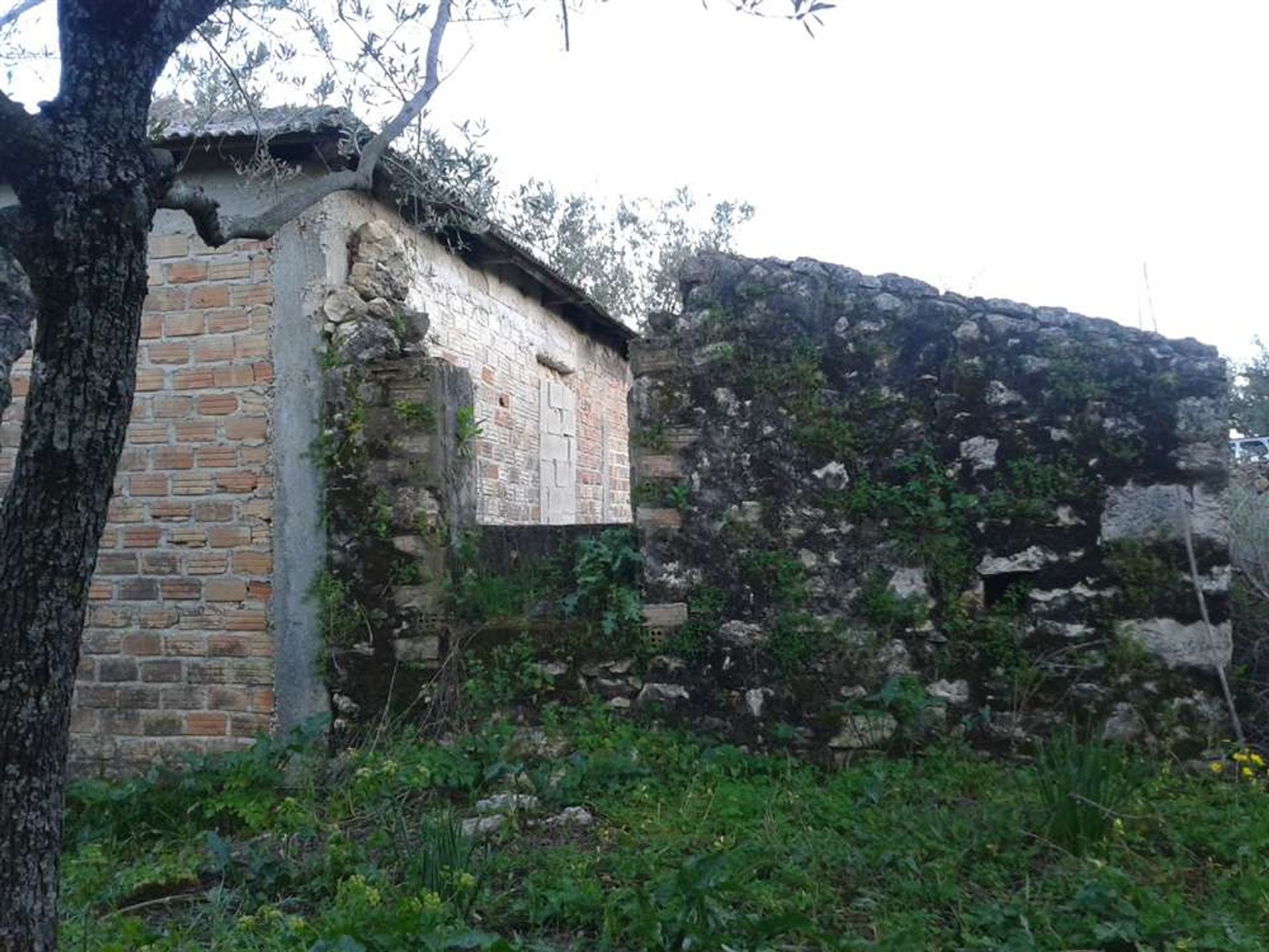 Γη σε Zakynthos, Zakinthos 10088009