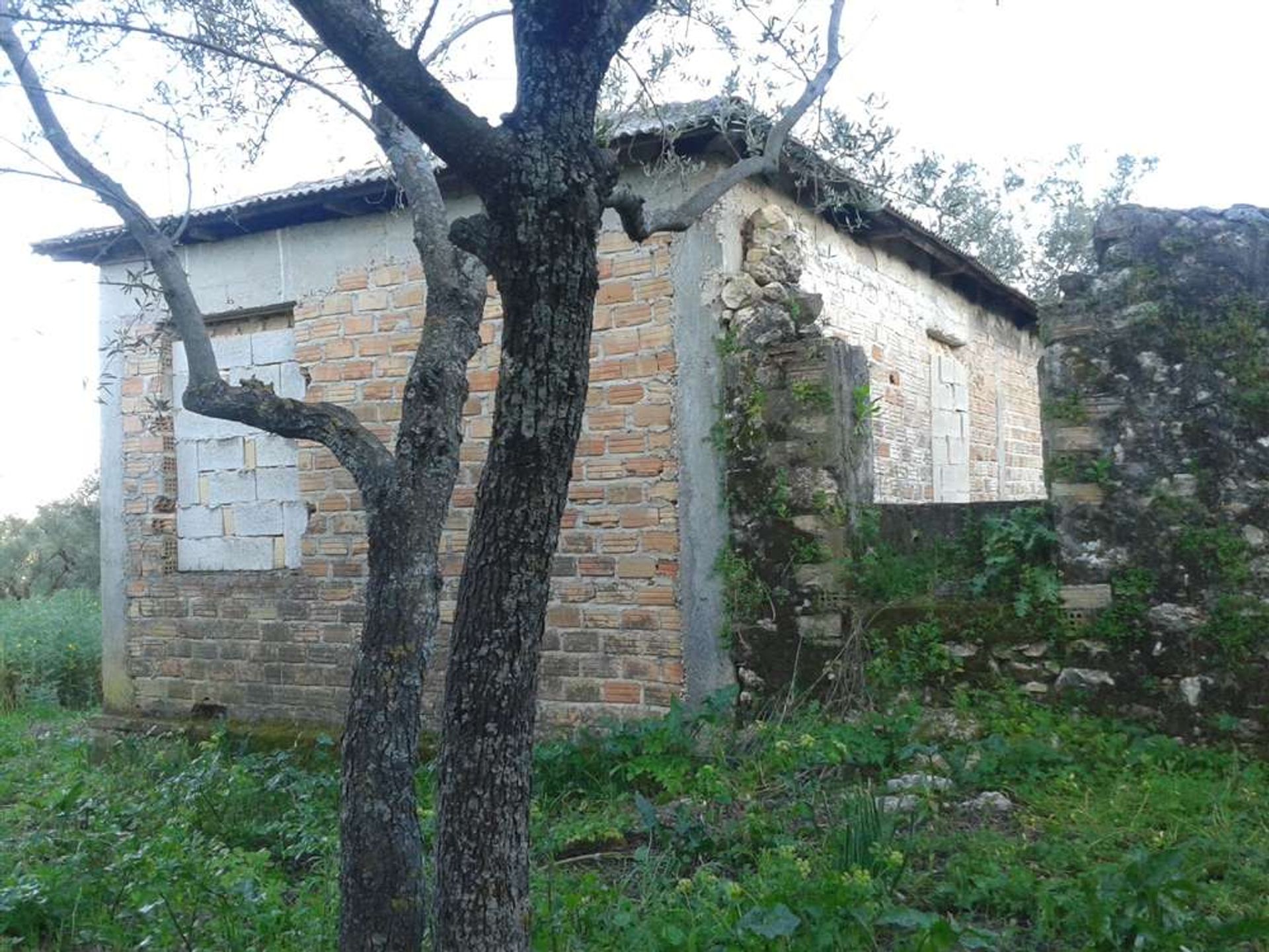 Γη σε Zakynthos, Zakinthos 10088009