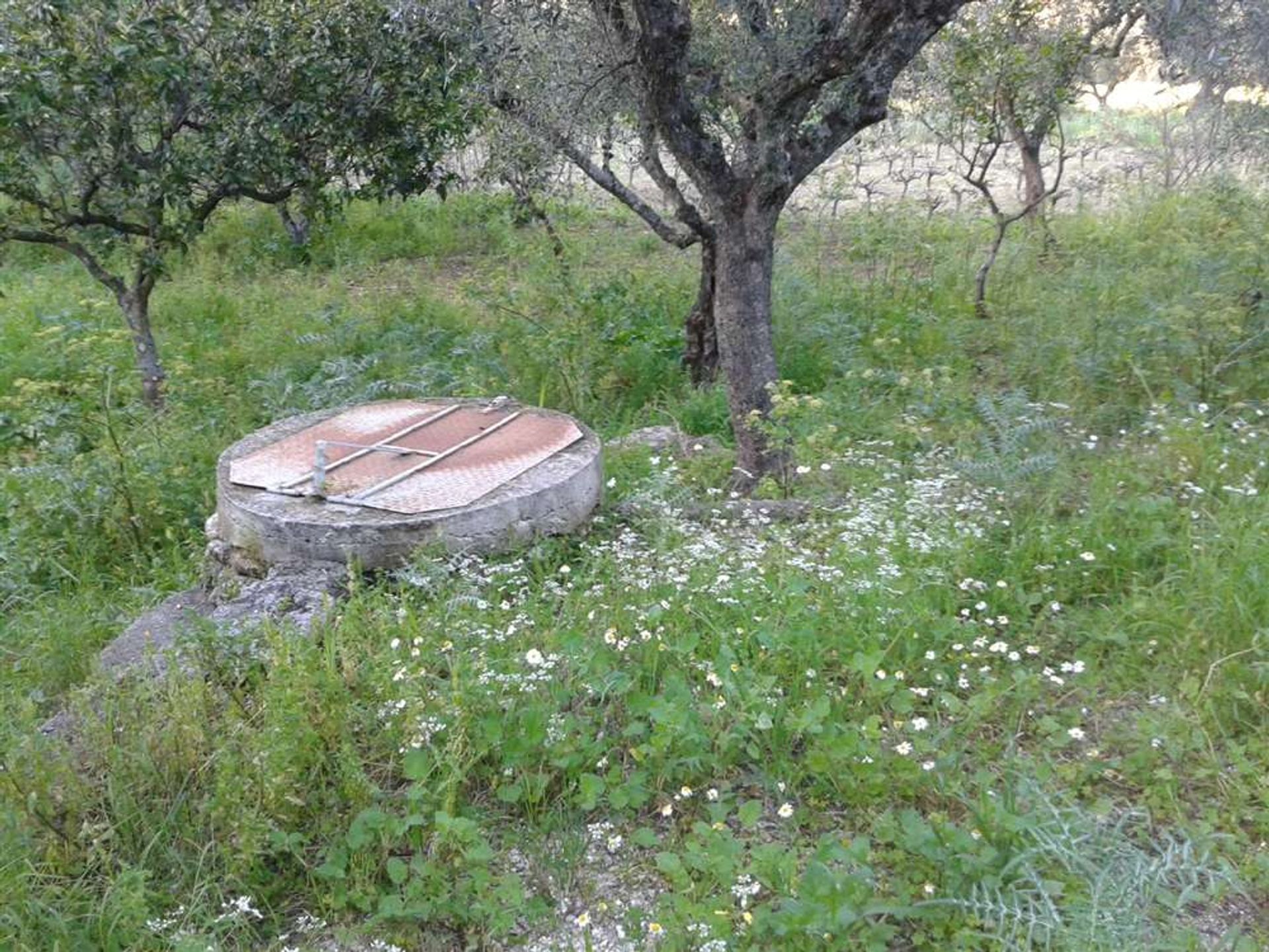 Γη σε Zakynthos, Zakinthos 10088009