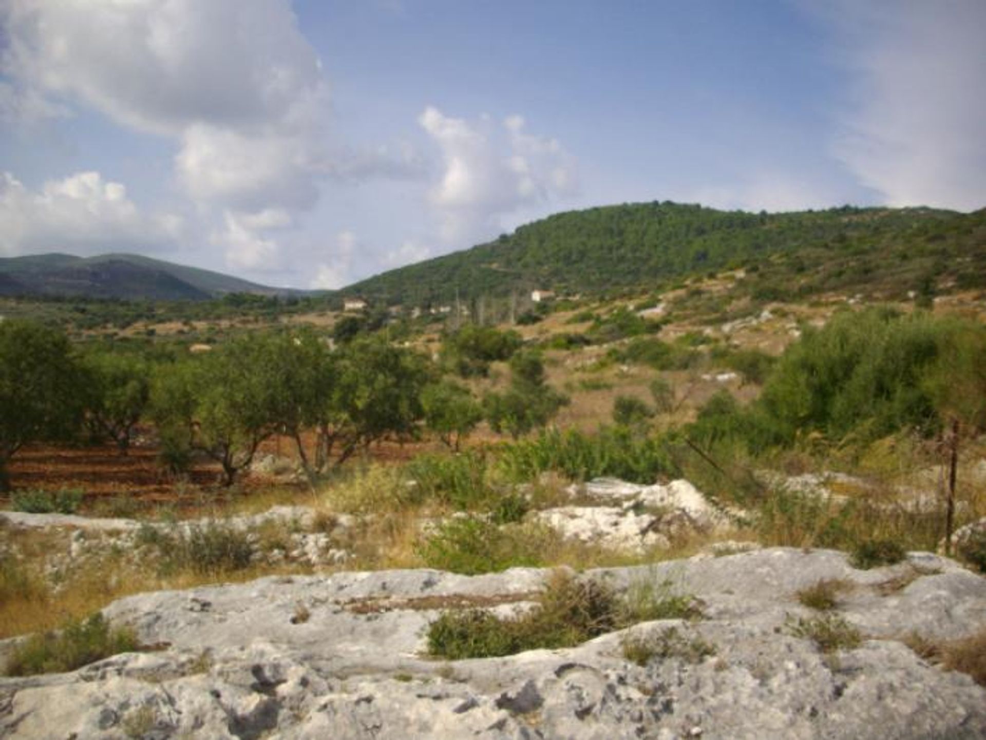 Terra no Zakynthos, Zakinthos 10088010