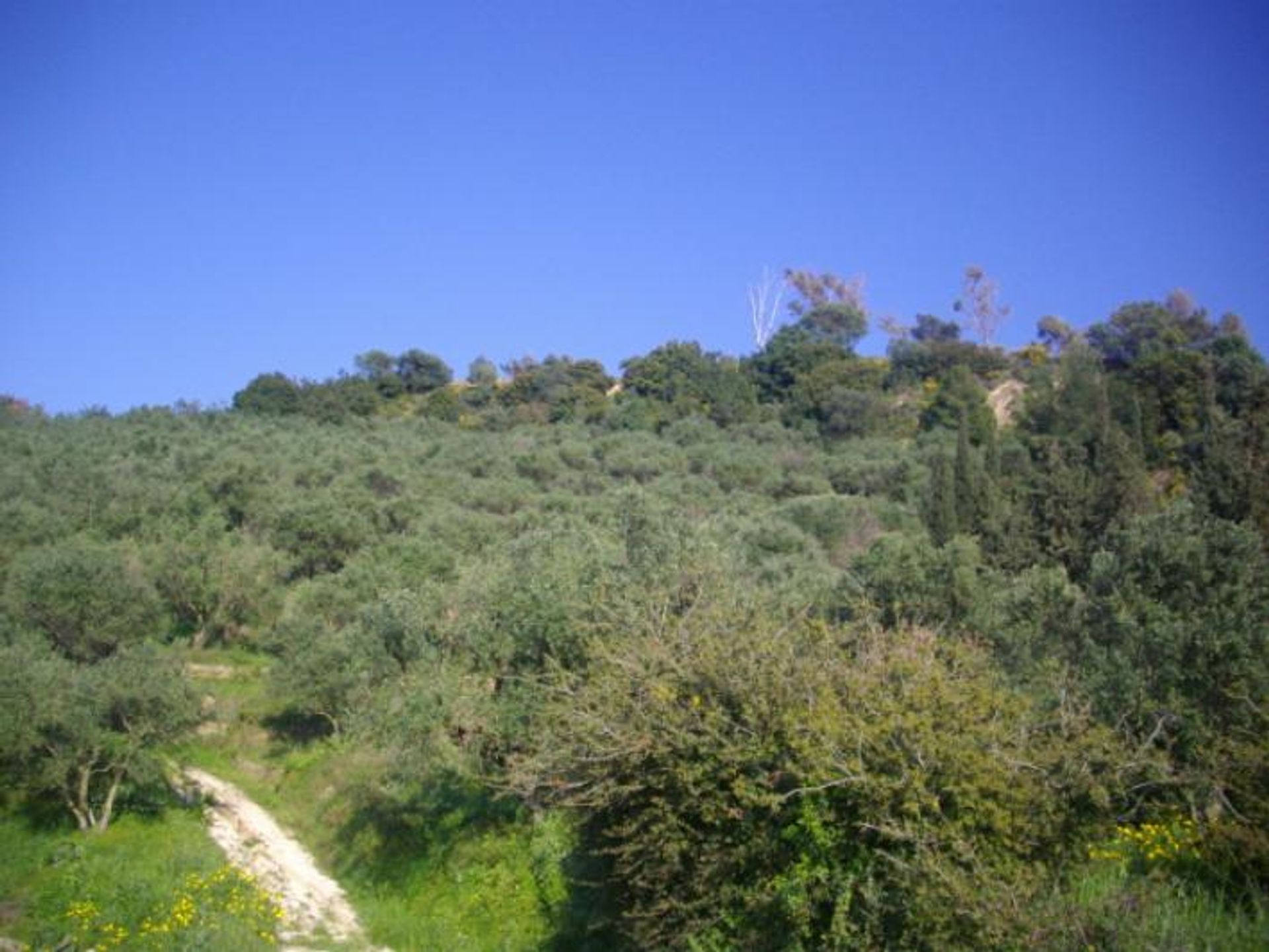 Γη σε Zakynthos, Zakinthos 10088011