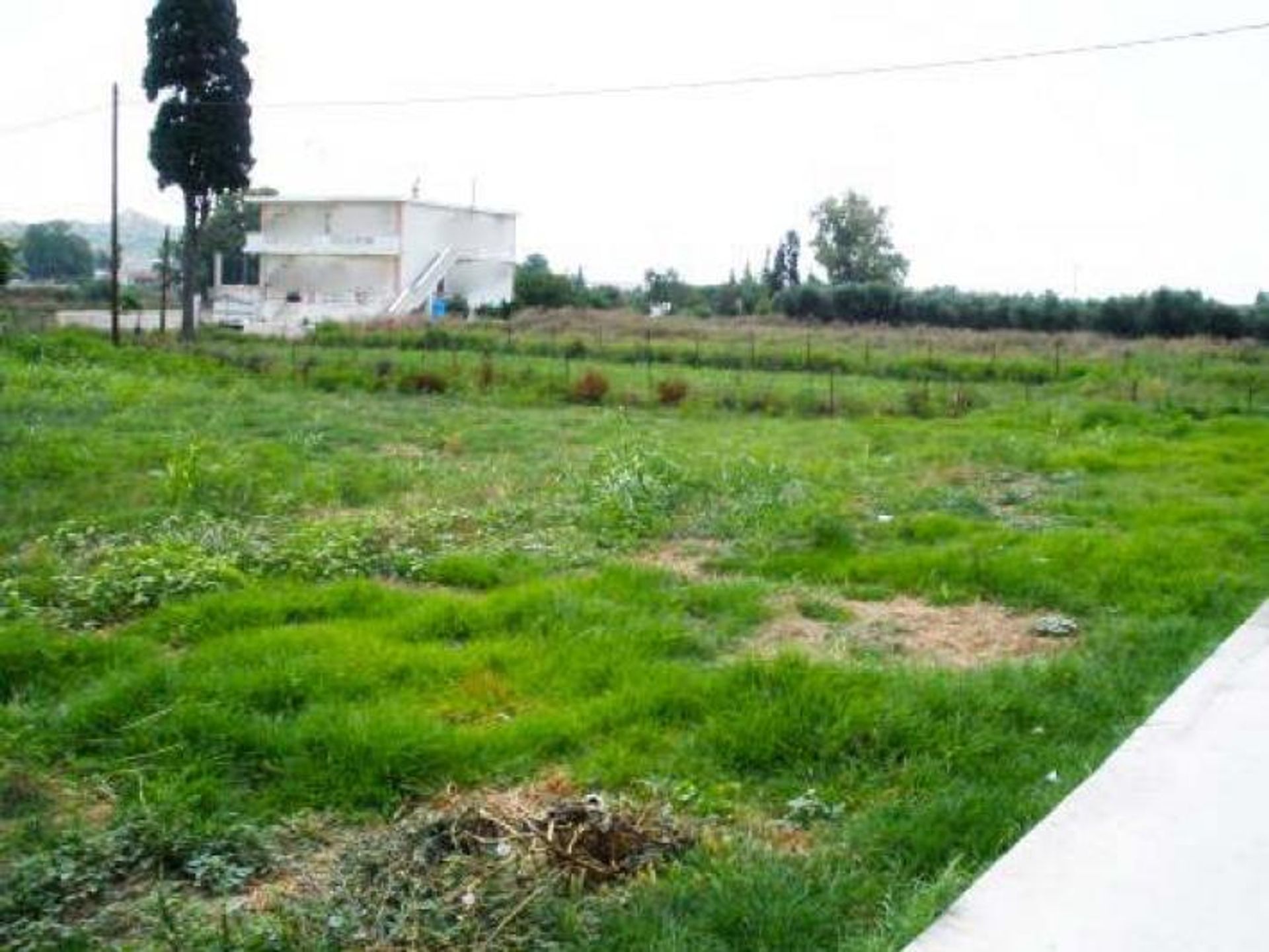 Land i Zakynthos, Zakinthos 10088013