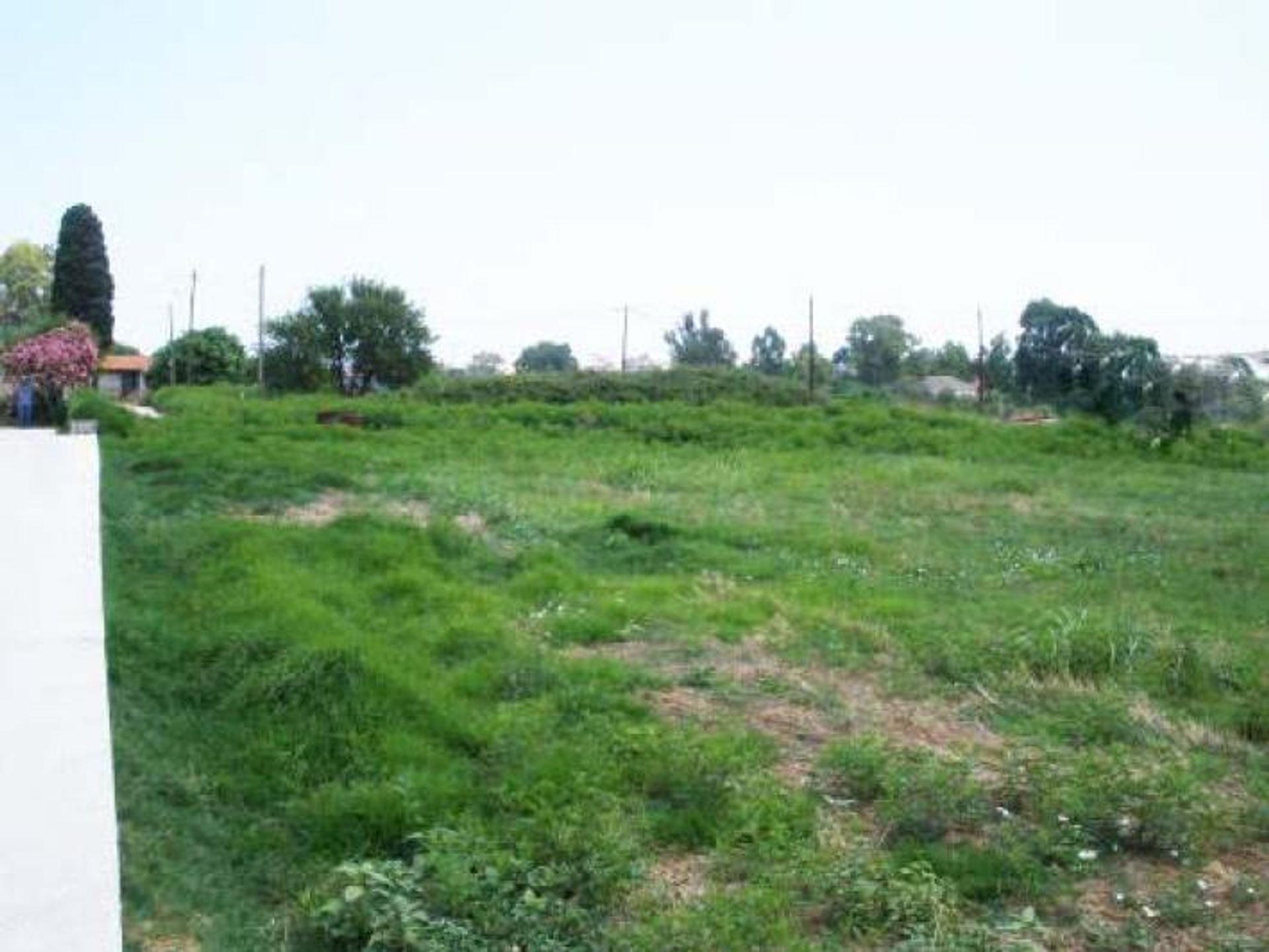 Land i Zakynthos, Zakinthos 10088013