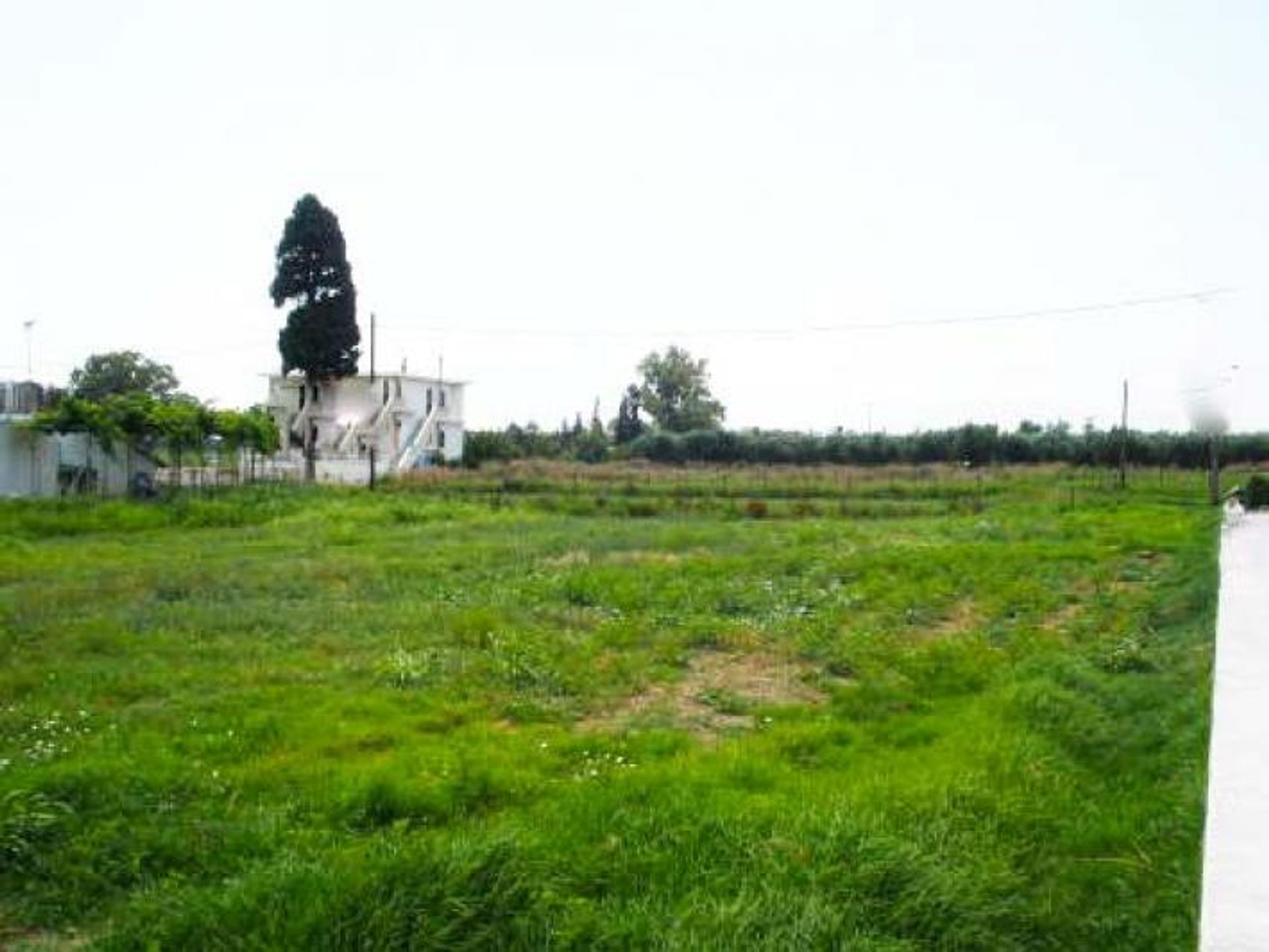 Land i Zakynthos, Zakinthos 10088013