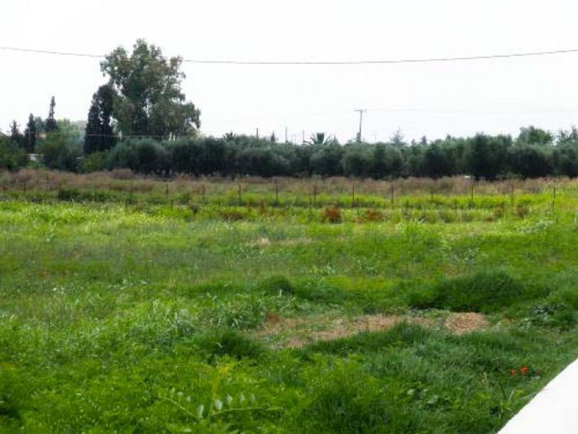 Land i Zakynthos, Zakinthos 10088013