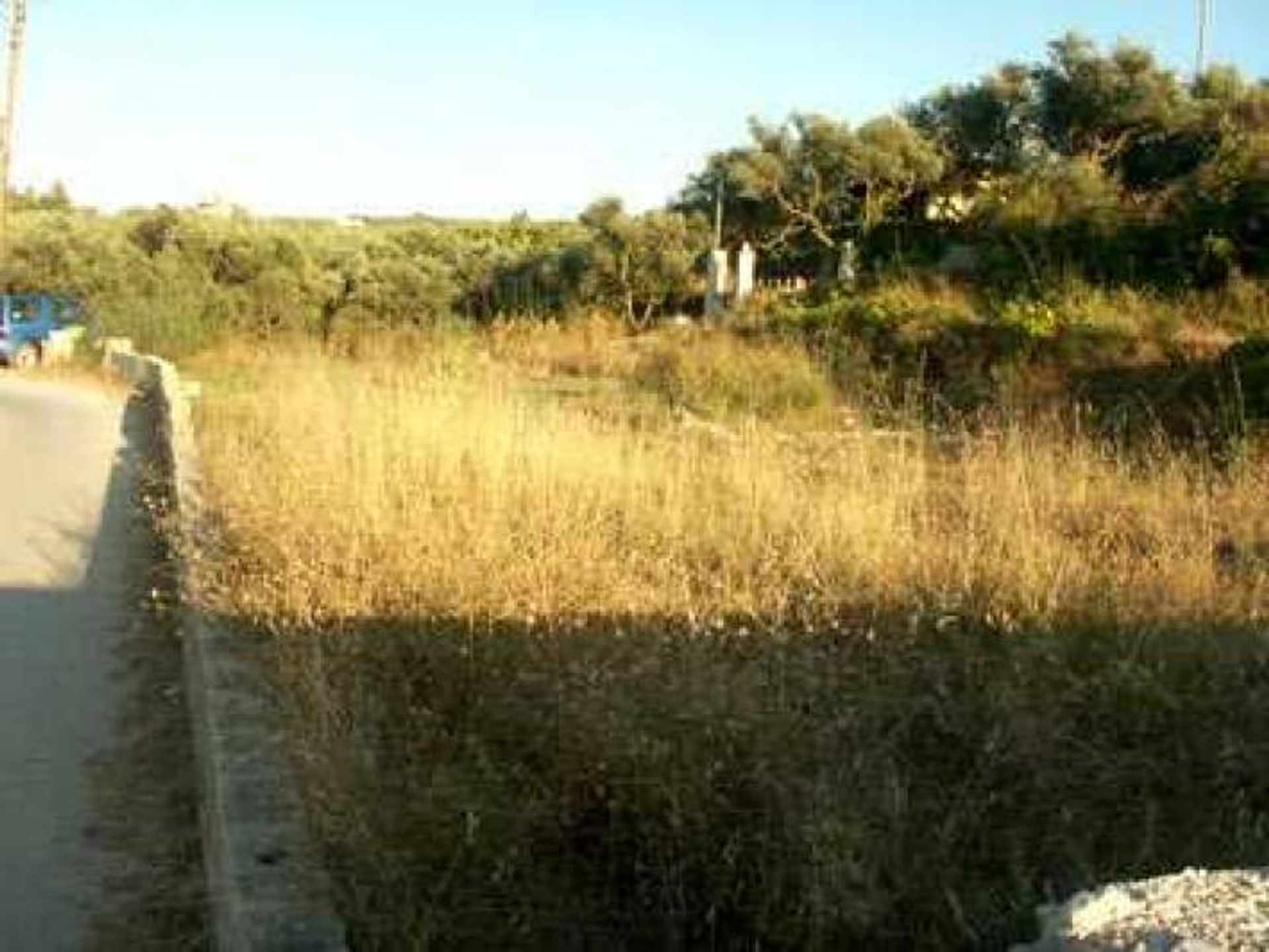 Tierra en bochalí, Jonia Nisia 10088014