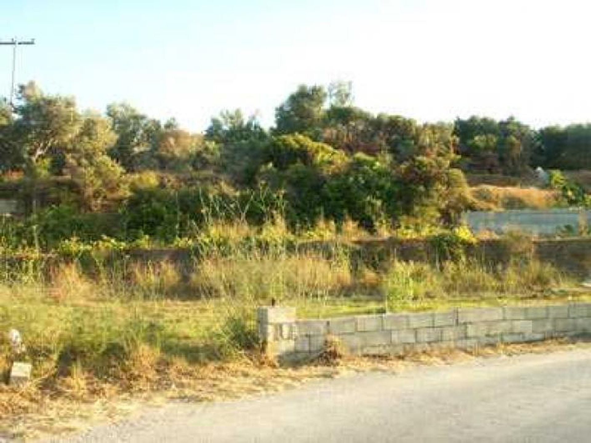 Tierra en Zakynthos, Zakinthos 10088014