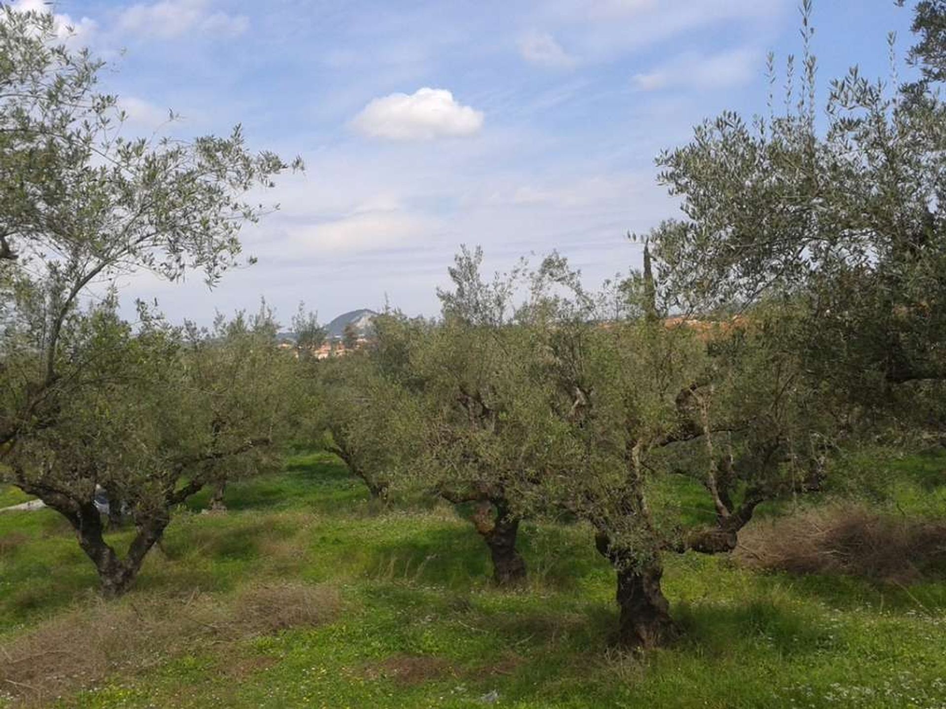 Sbarcare nel Pantokratoras, Ionia Nisia 10088015