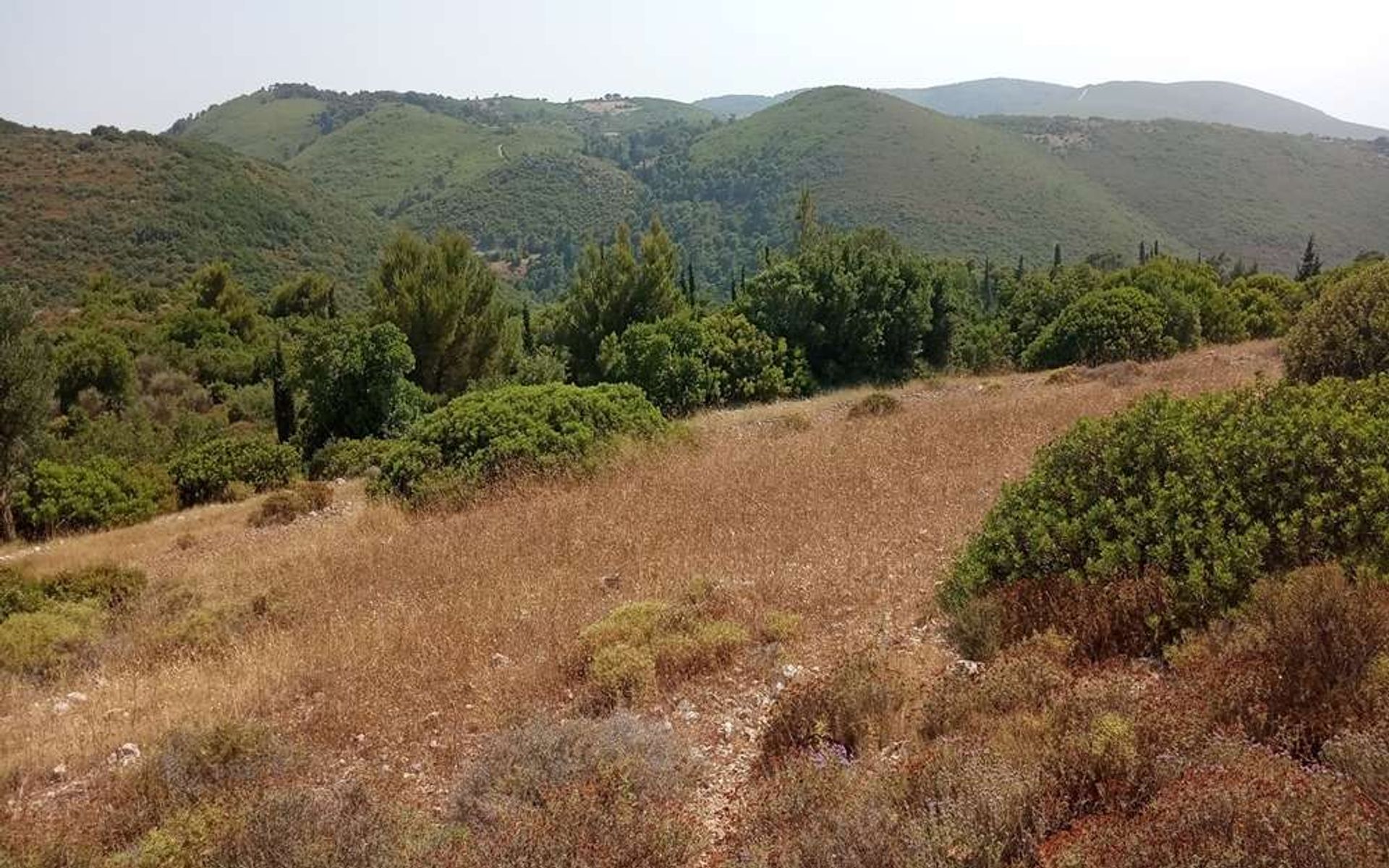 Terre dans Bochali, Ionia Nisia 10088019