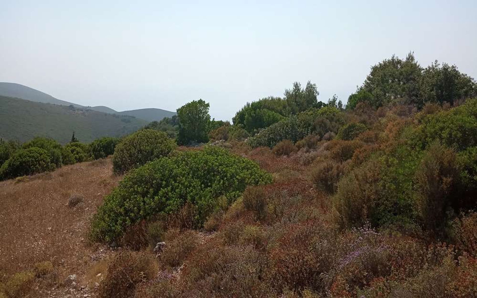 Terre dans Bochali, Ionia Nisia 10088019