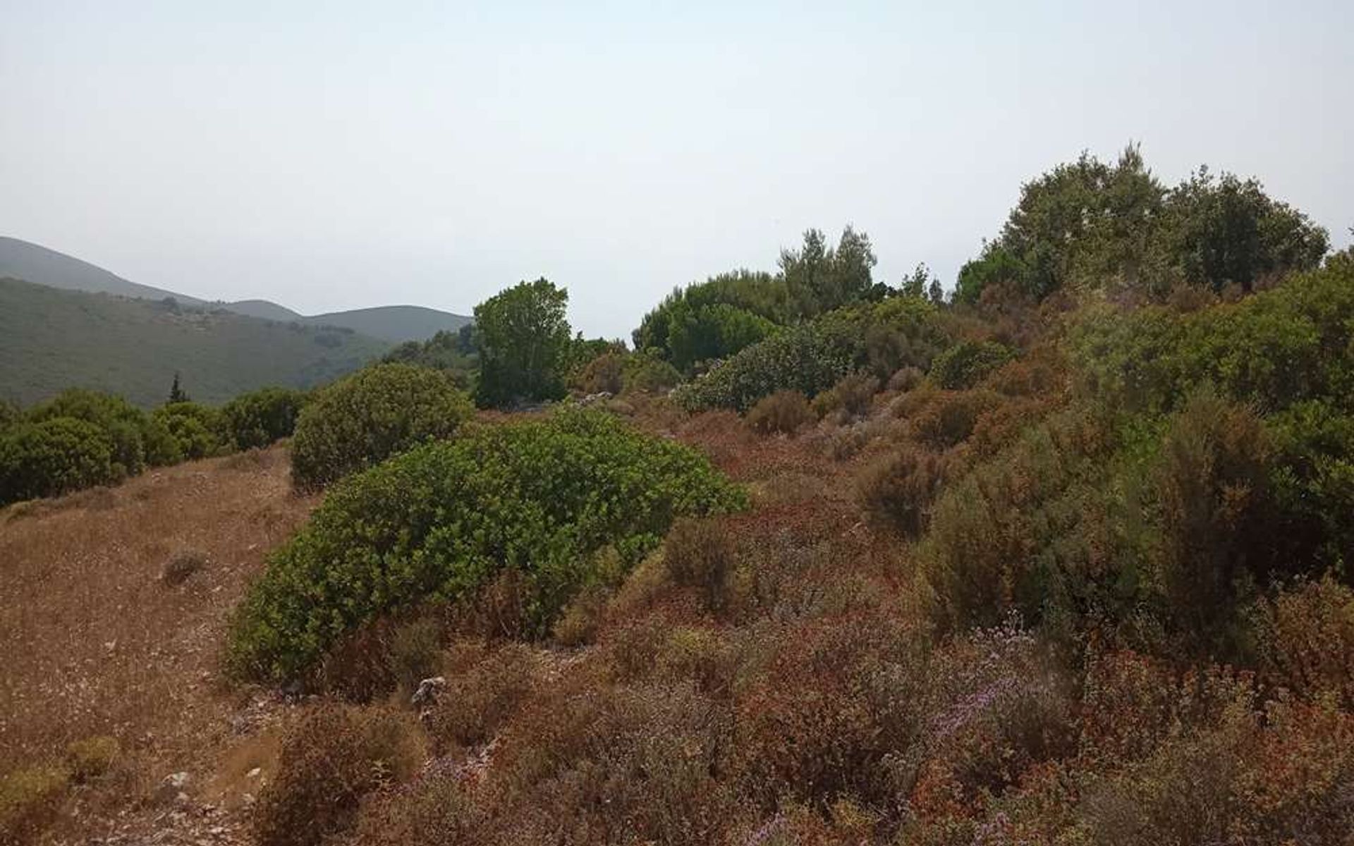 Terre dans Bochali, Ionia Nisia 10088019