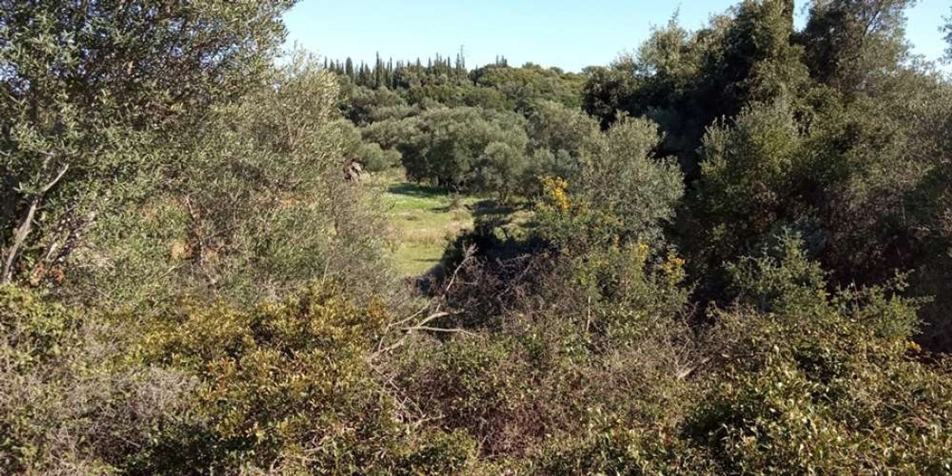 Land i Zakynthos, Zakinthos 10088022