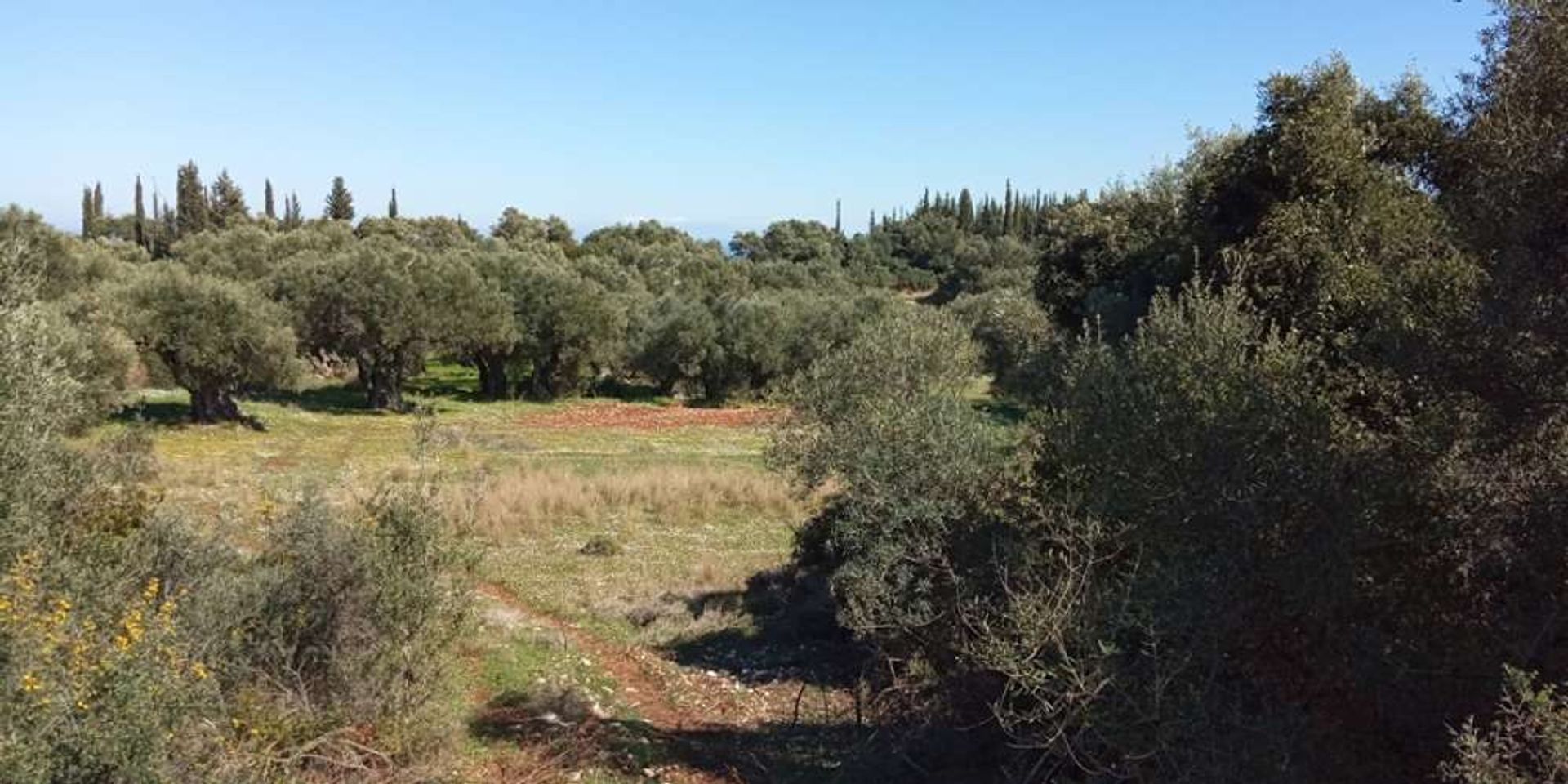 Land i Zakynthos, Zakinthos 10088022