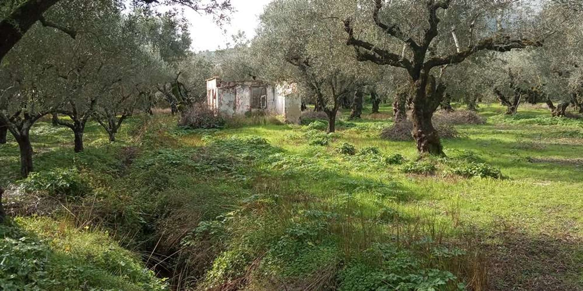 Земельные участки в Zakynthos, Zakinthos 10088023