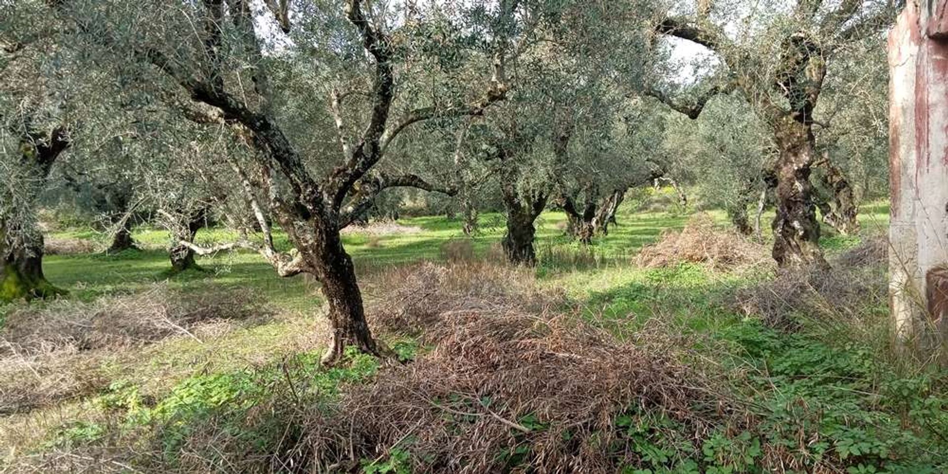 Земельные участки в Zakynthos, Zakinthos 10088023