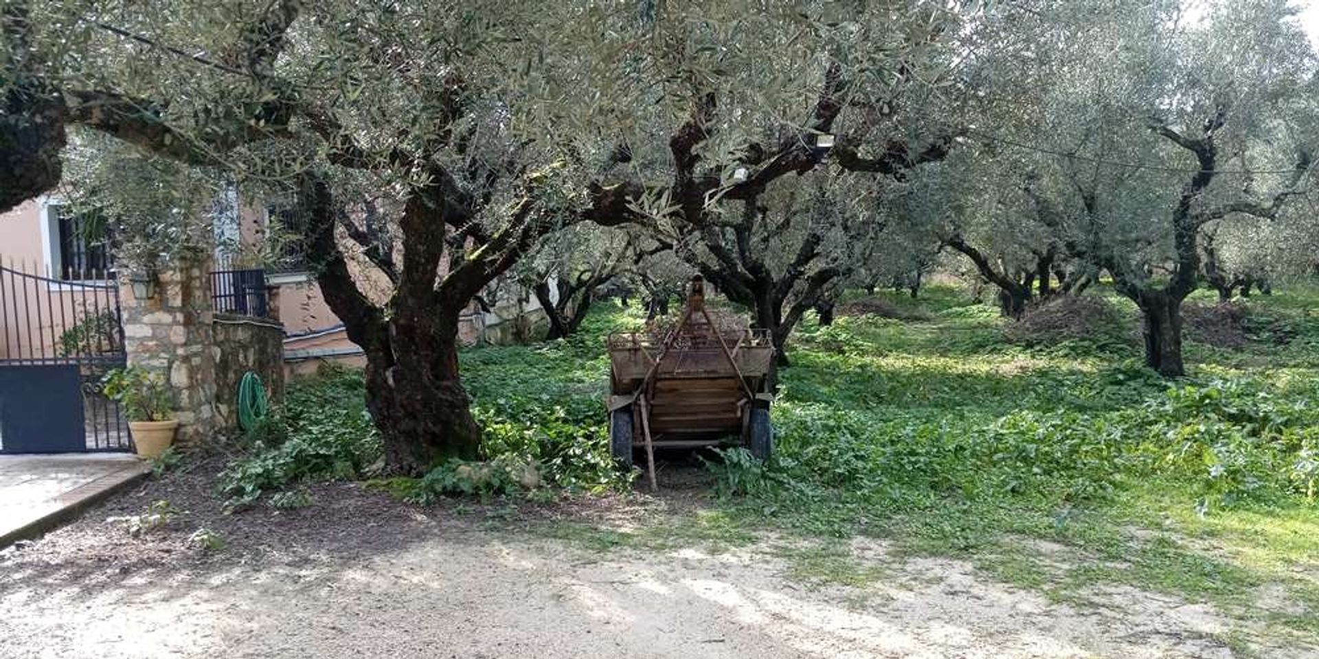 ארץ ב Zakynthos, Zakinthos 10088023