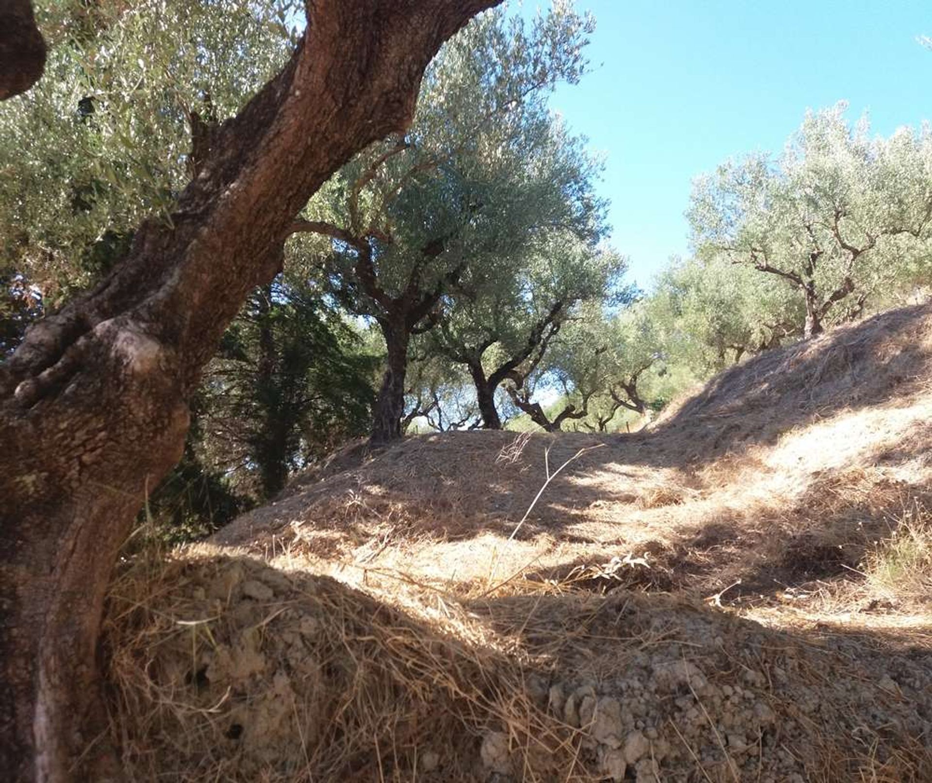 Земля в Zakynthos, Zakinthos 10088024