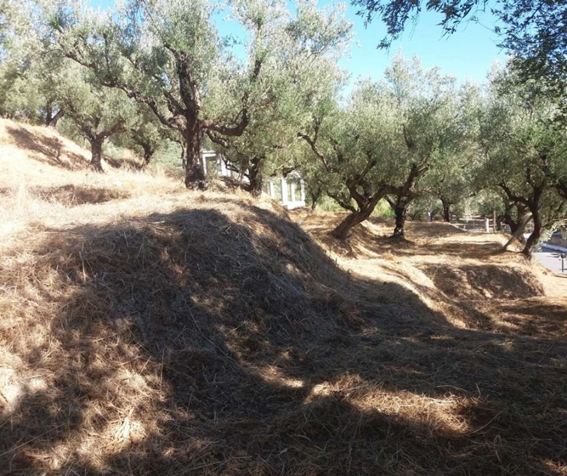 Земля в Zakynthos, Zakinthos 10088024