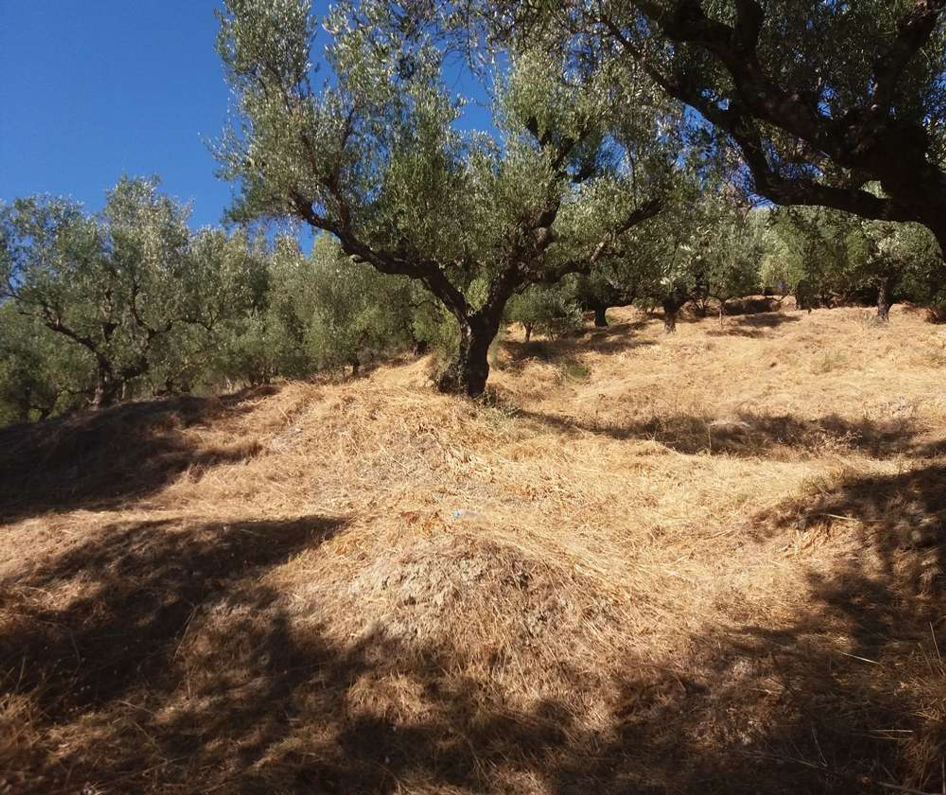 Земля в Zakynthos, Zakinthos 10088024