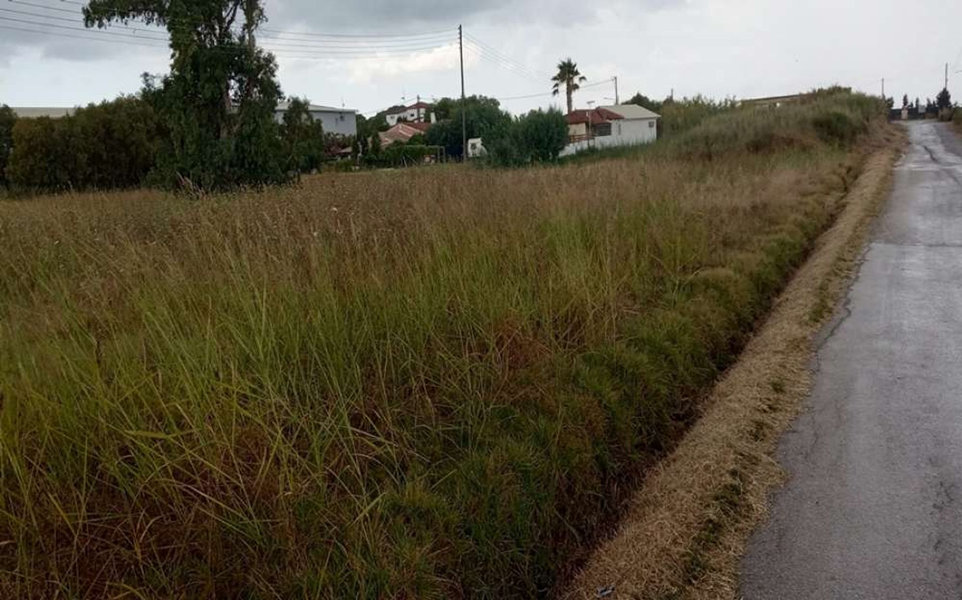 Land im Zakynthos, Zakinthos 10088026