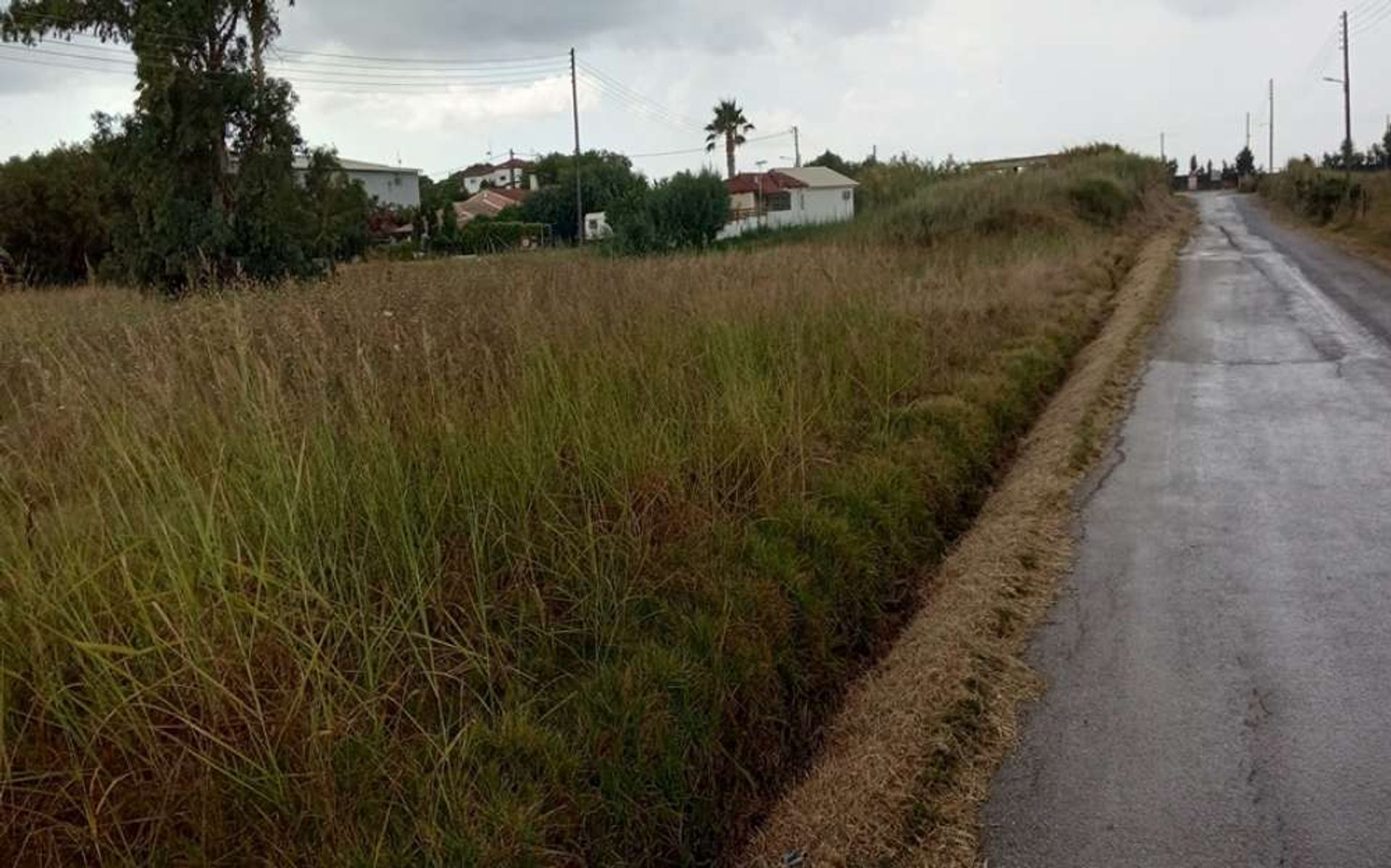 Land im Zakynthos, Zakinthos 10088026