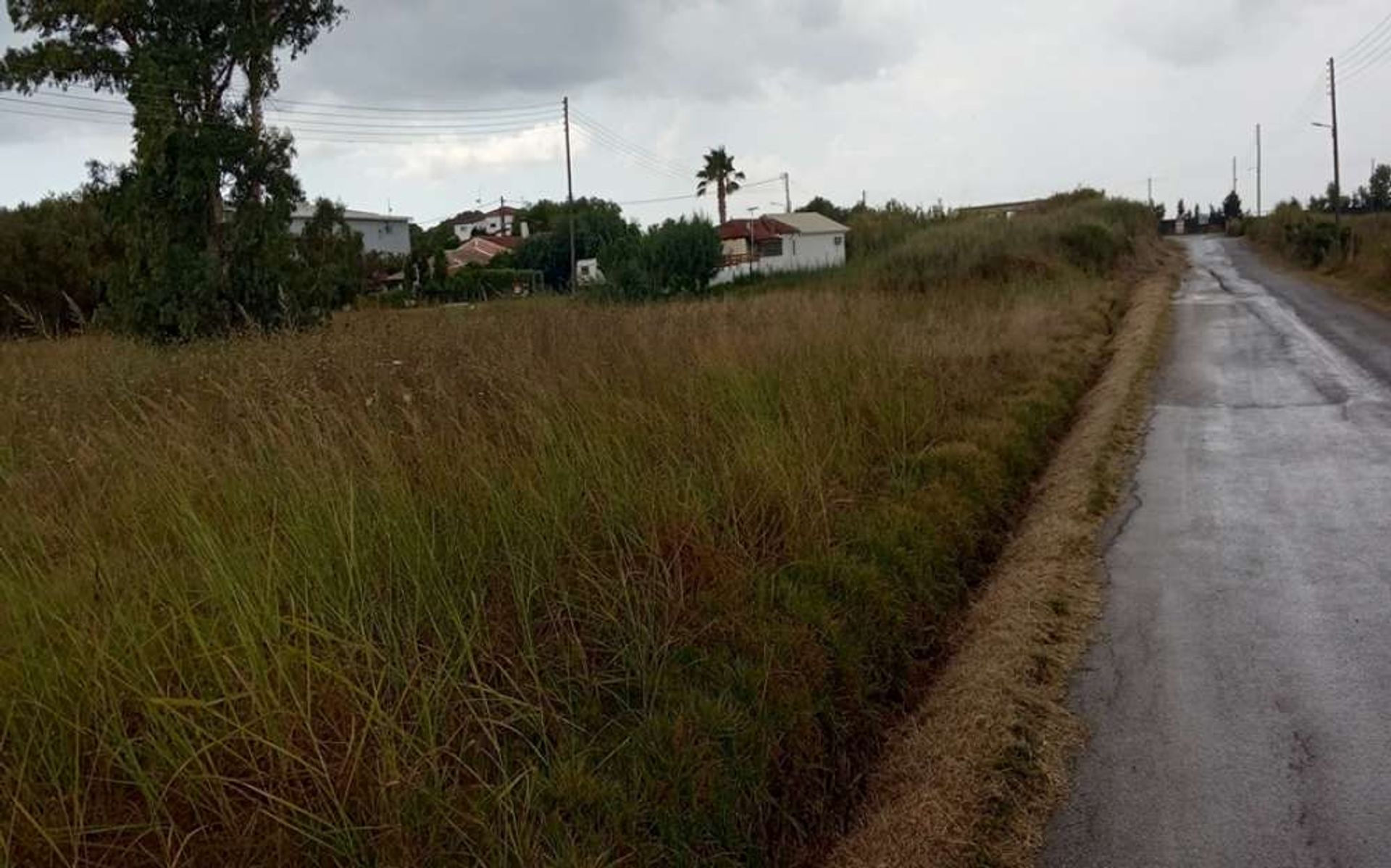 Land im Zakynthos, Zakinthos 10088026