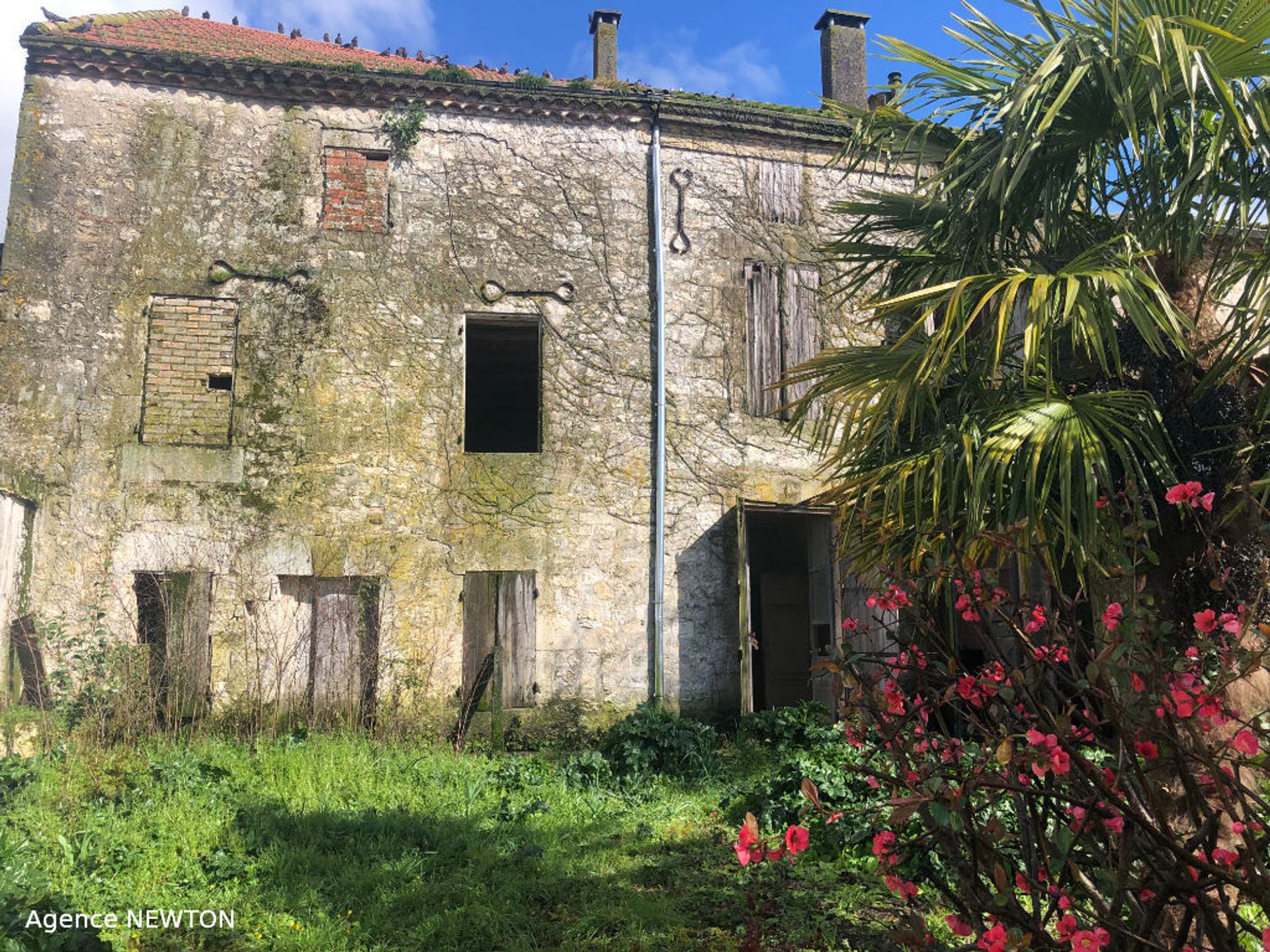 loger dans Bourg de Visa, Occitanie 10088112