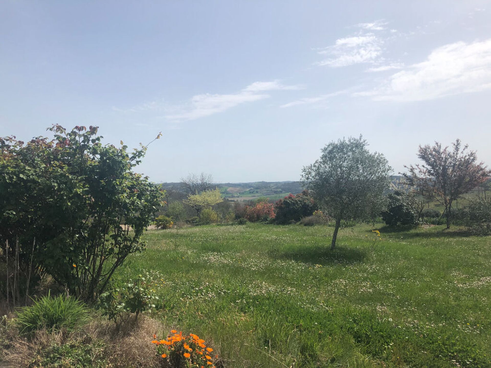 casa en Touffailles, Occitanie 10088116