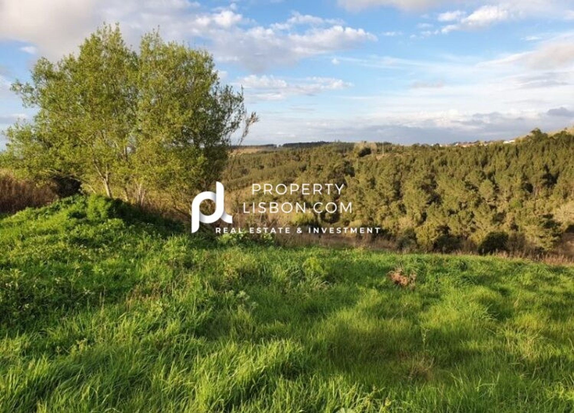 Land im Peniche de Cima, Leiria 10088178