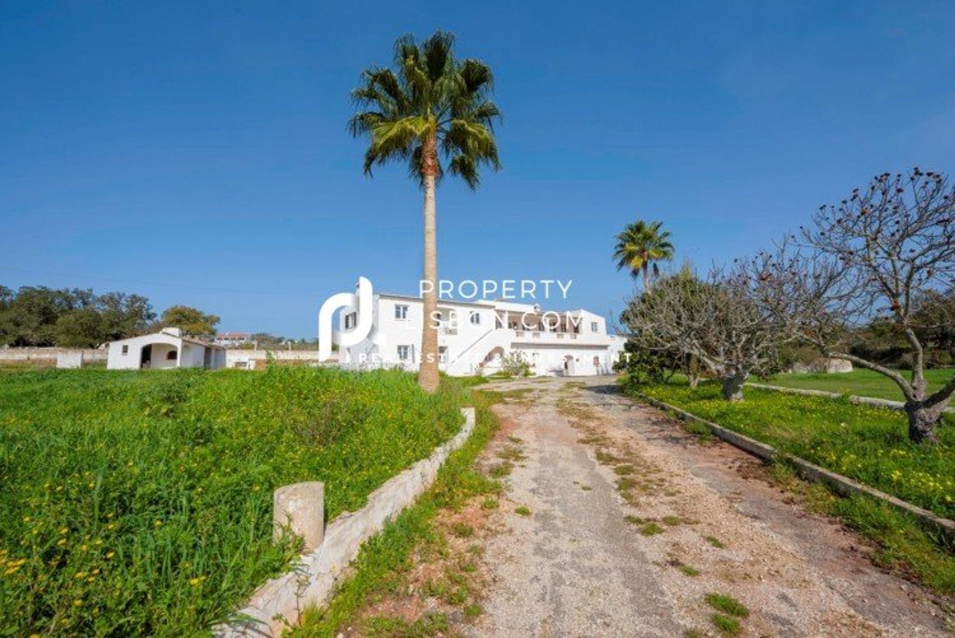 House in BensafrimE Barao de Sao Joao, Algarve 10088318