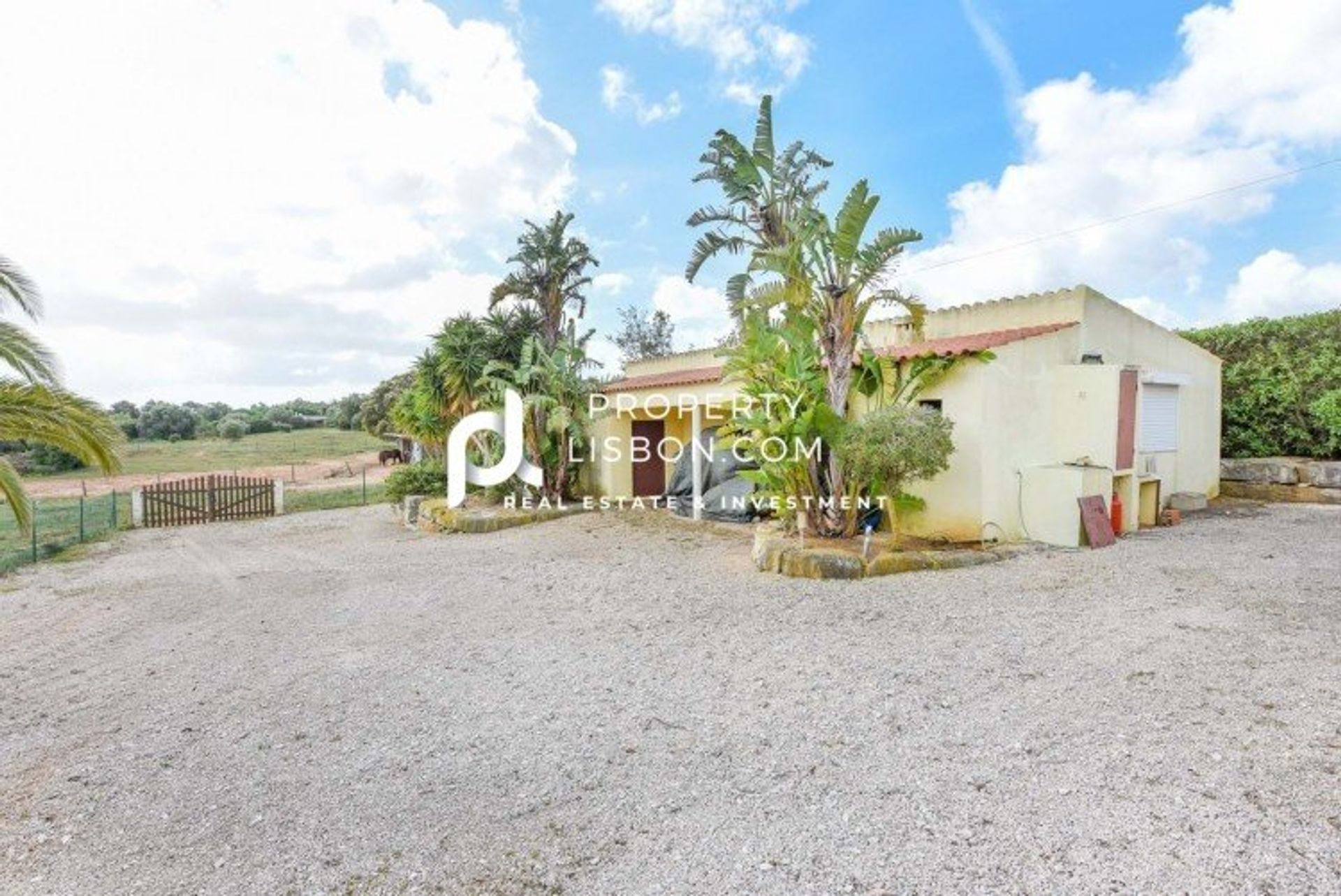 House in BensafrimE Barao de Sao Joao, Algarve 10088611