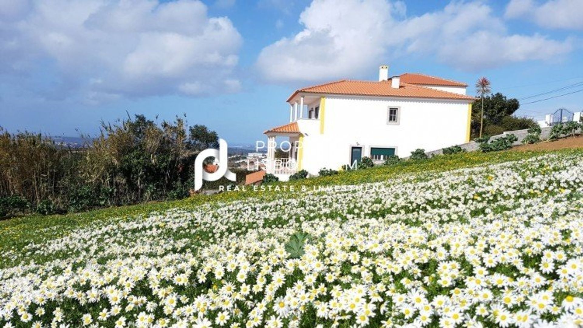 casa en Usseira, Leiría 10088748