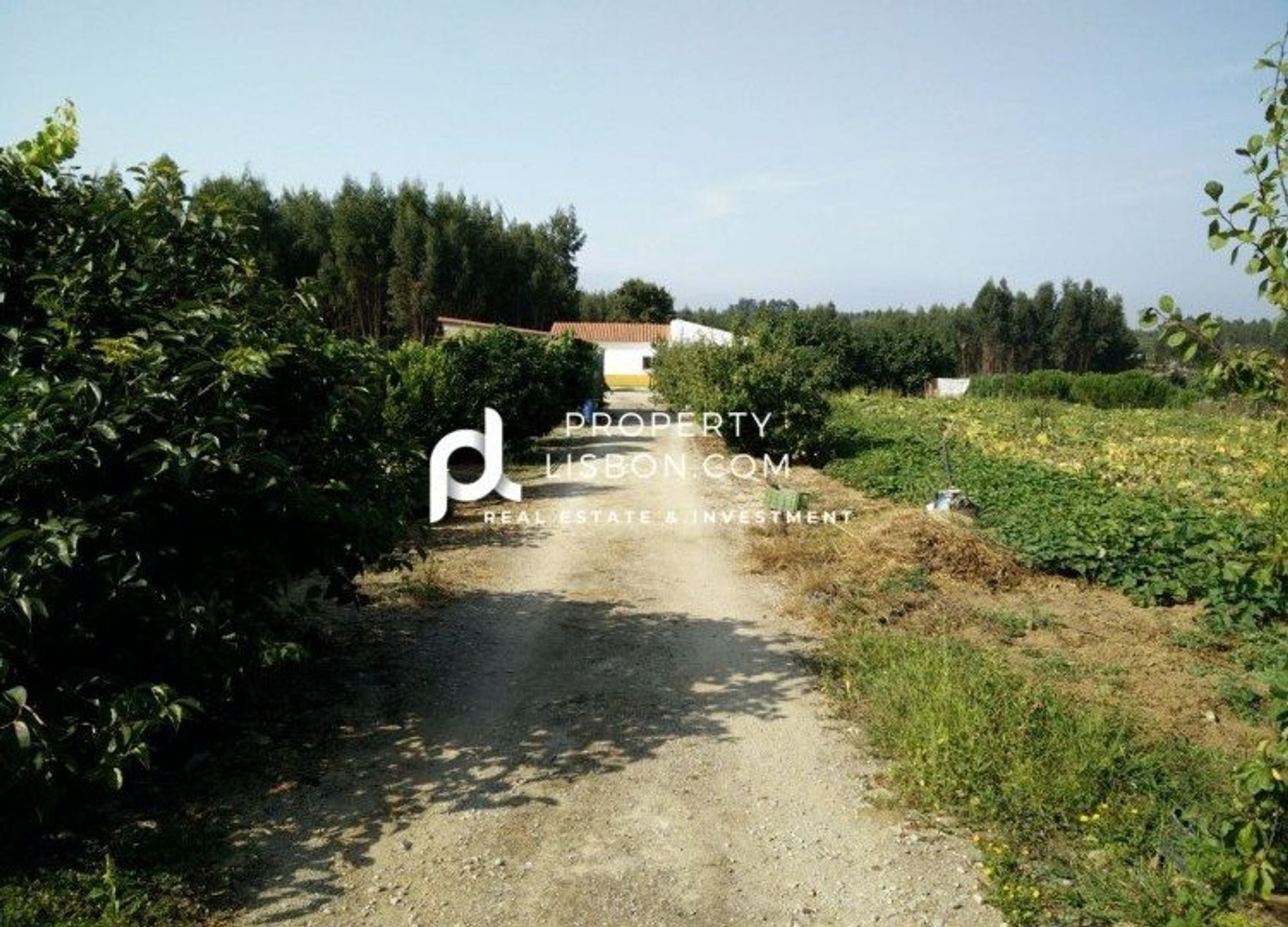 Rumah di SaoBartolomeu dos Galegos e Moledo, Silver Coast 10088810