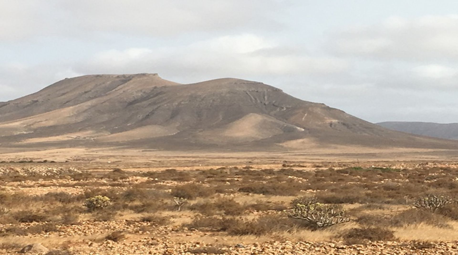 Maa sisään Triquivijate, Canary Islands 10089168