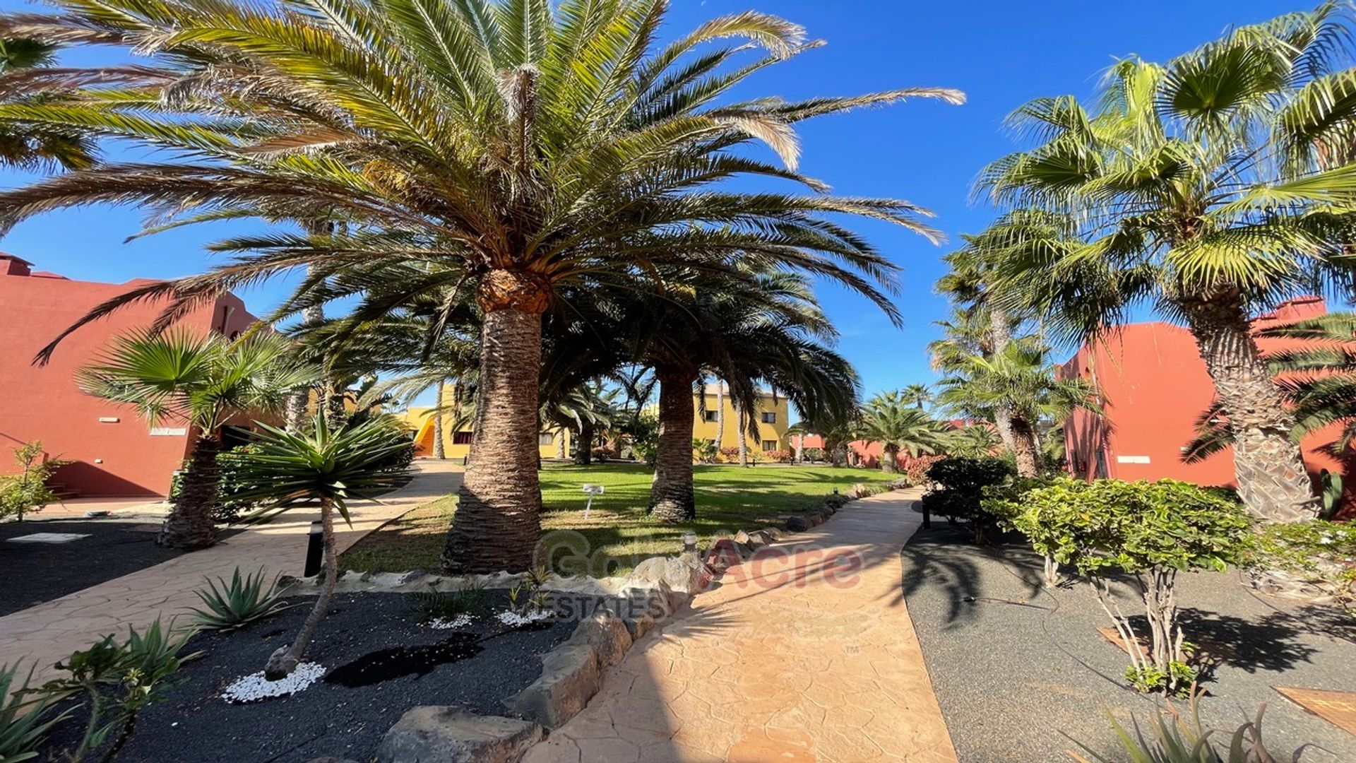 Συγκυριαρχία σε Corralejo, Canary Islands 10089195