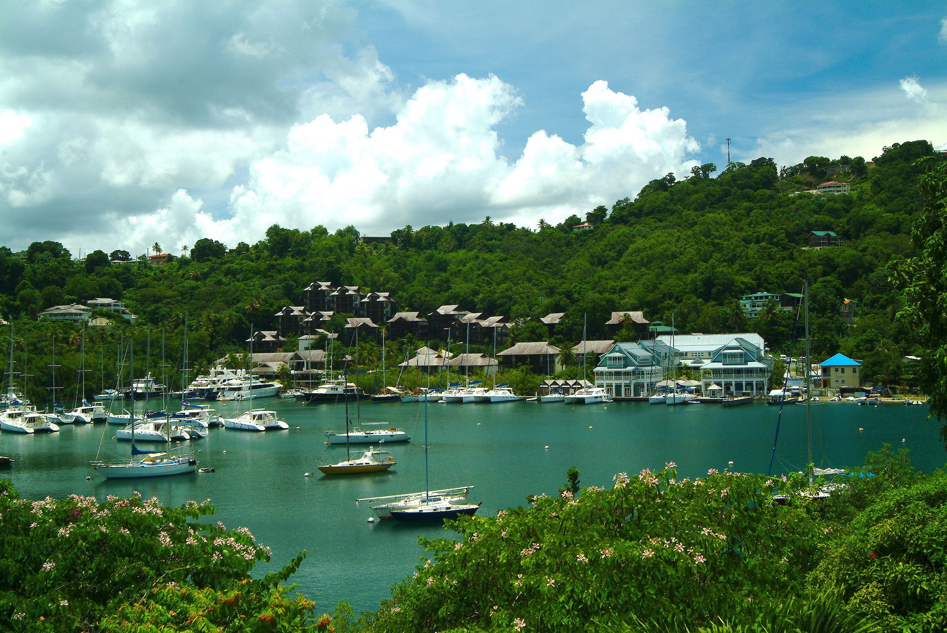 Dom w Marigot Bay,  10089661