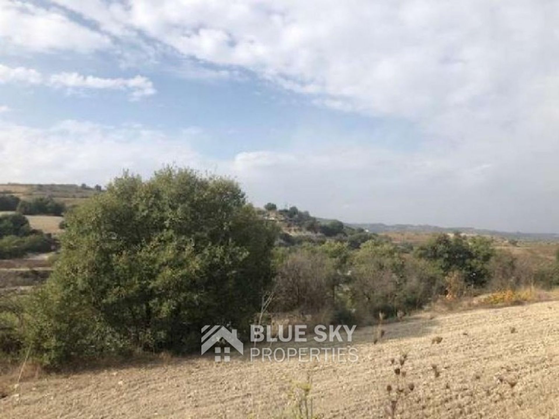 Land in Stroumbi, Paphos 10090828