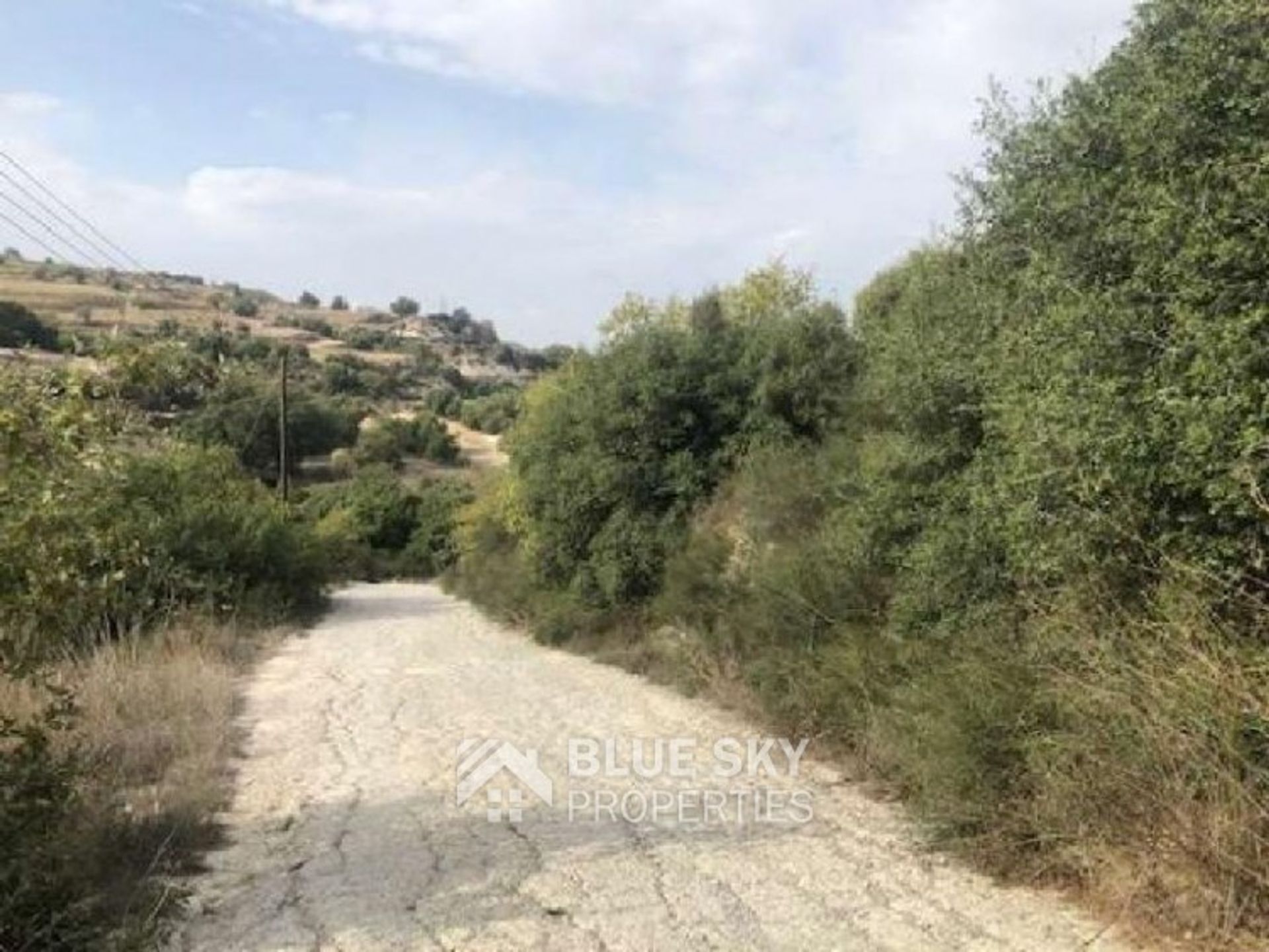 Land in Stroumbi, Paphos 10090828