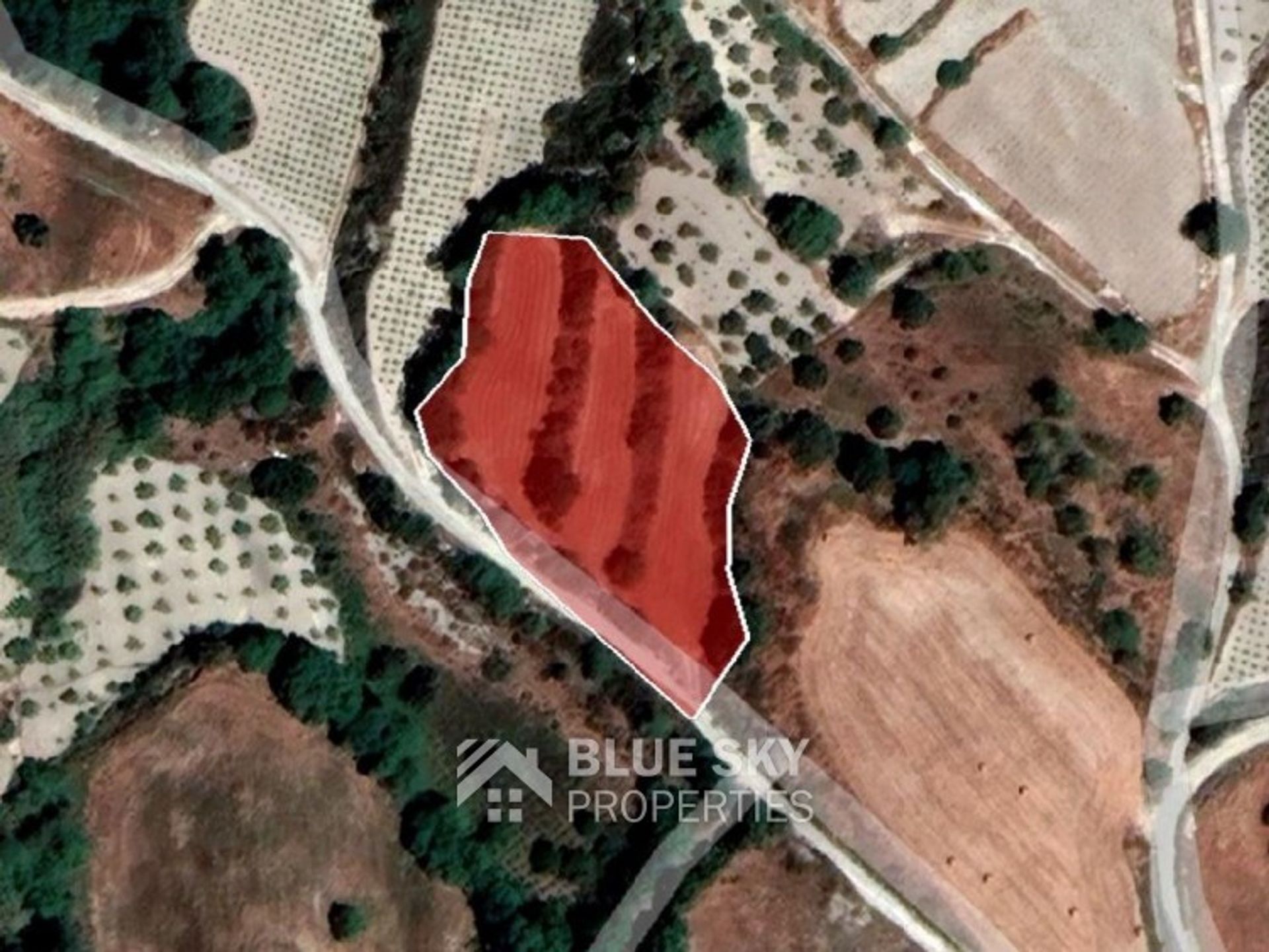 Land in Stroumbi, Paphos 10090828