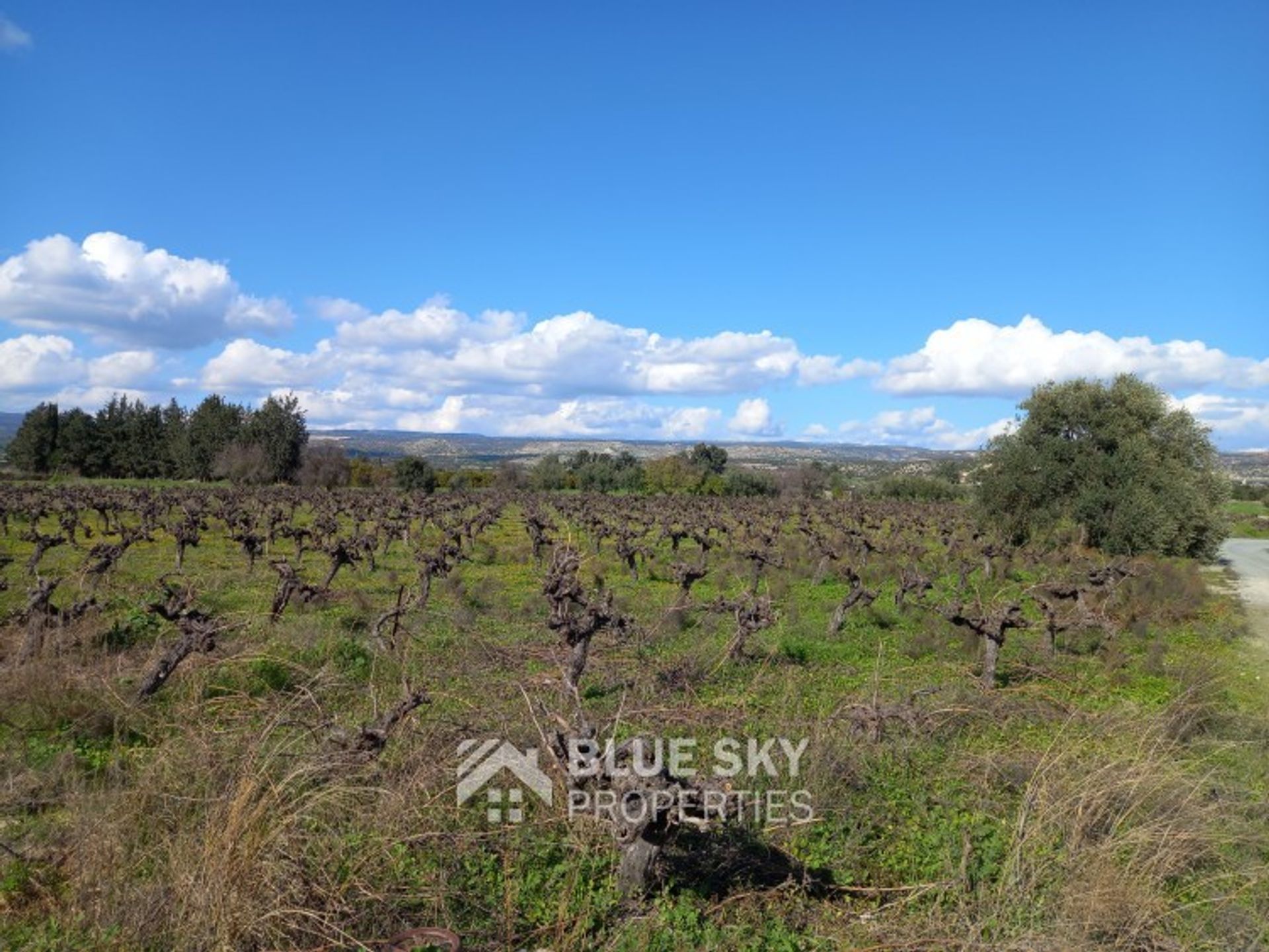 Land in Parkklisia, Larnaca 10093469