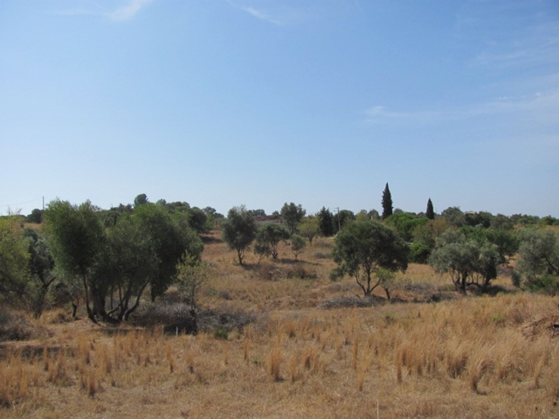 Γη σε Porches, Algarve 10093826