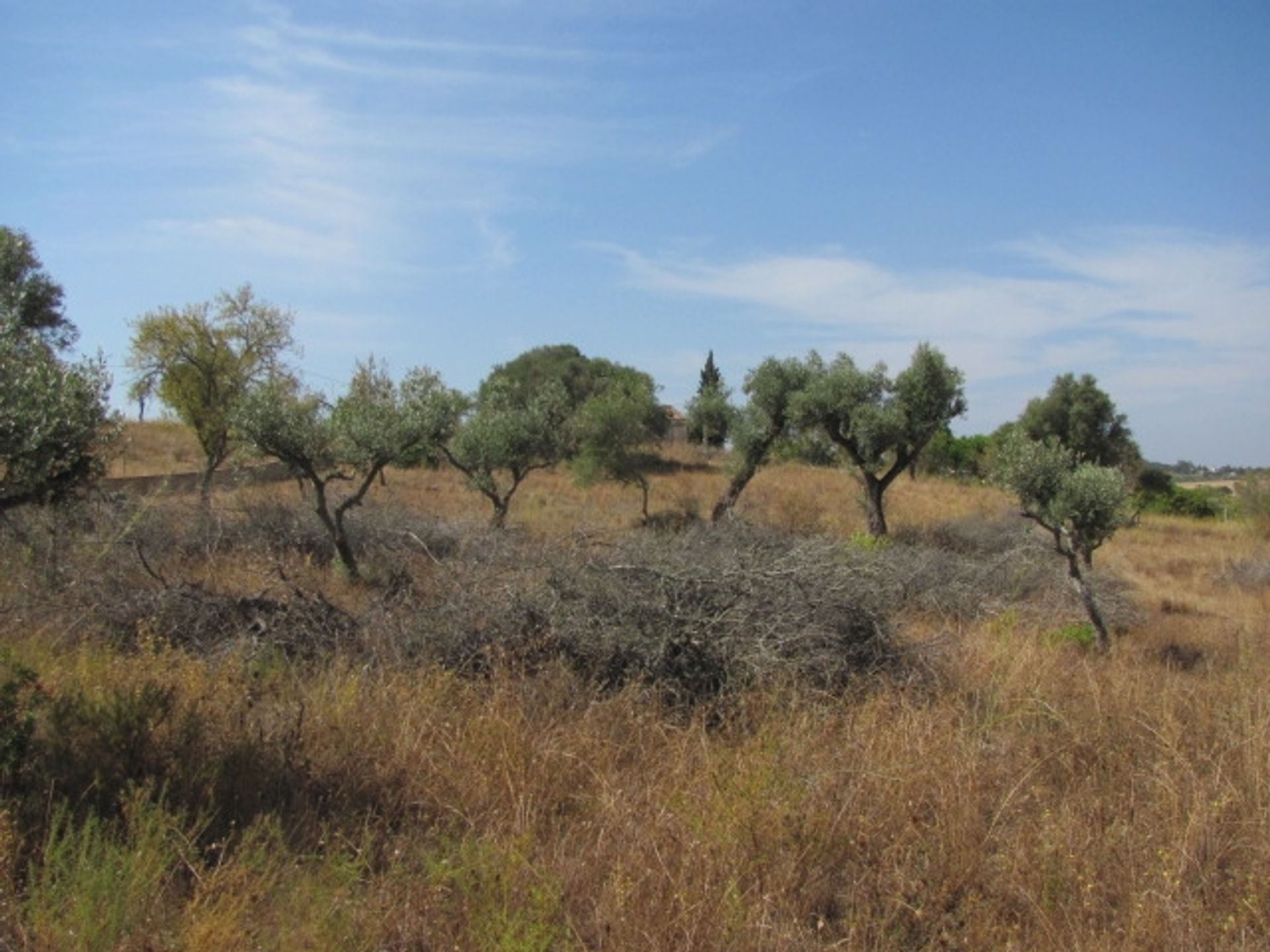 الأرض في Porches, Algarve 10093826