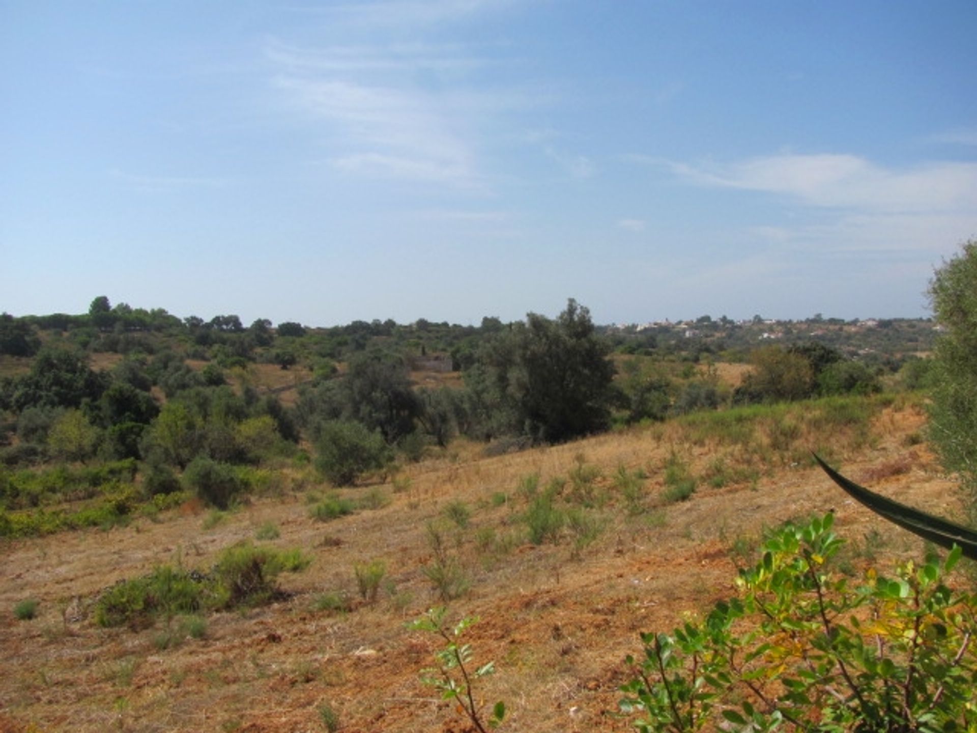 Γη σε Porches, Algarve 10093826